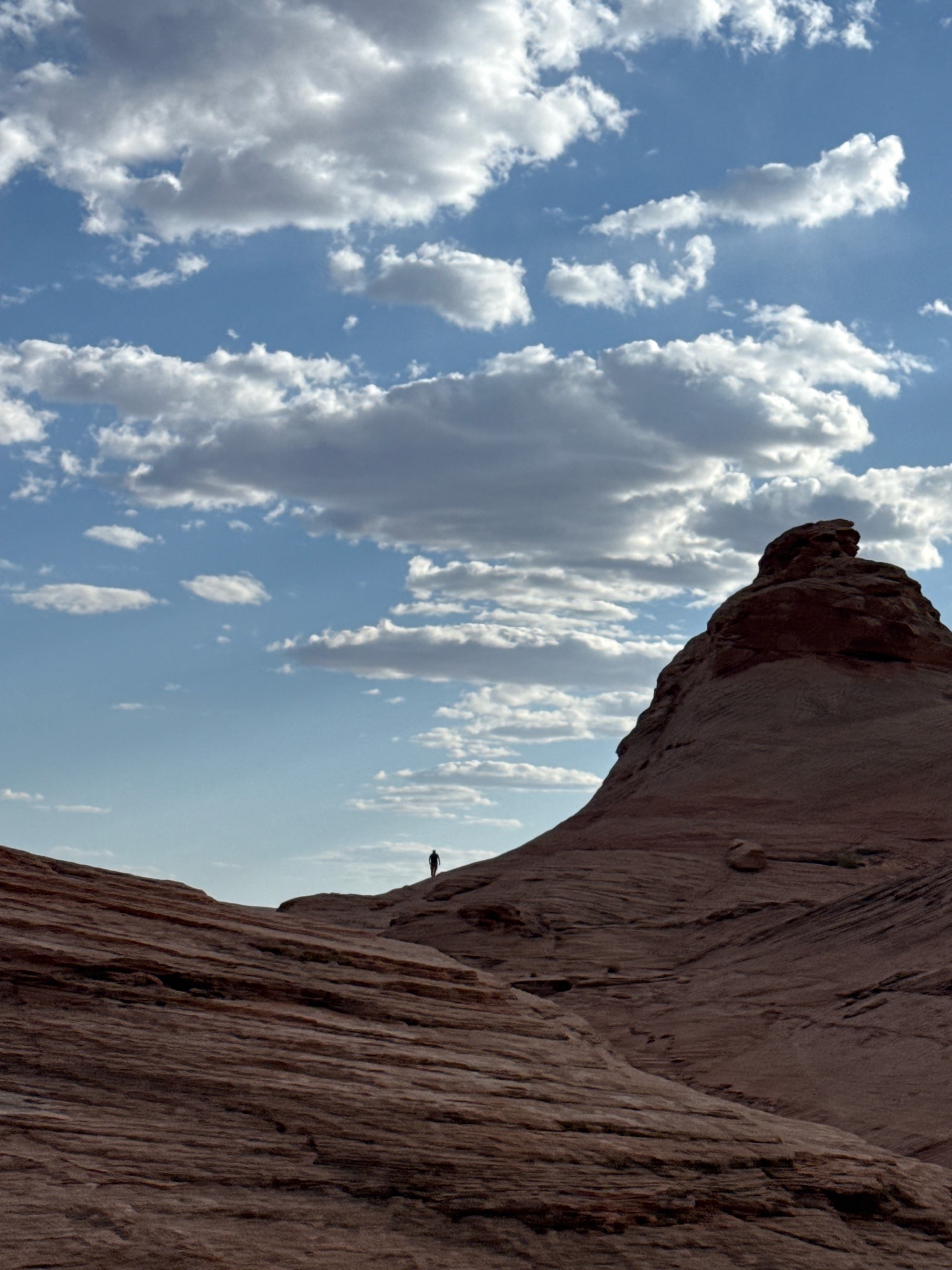 Beehive Trail Loop & New Wave