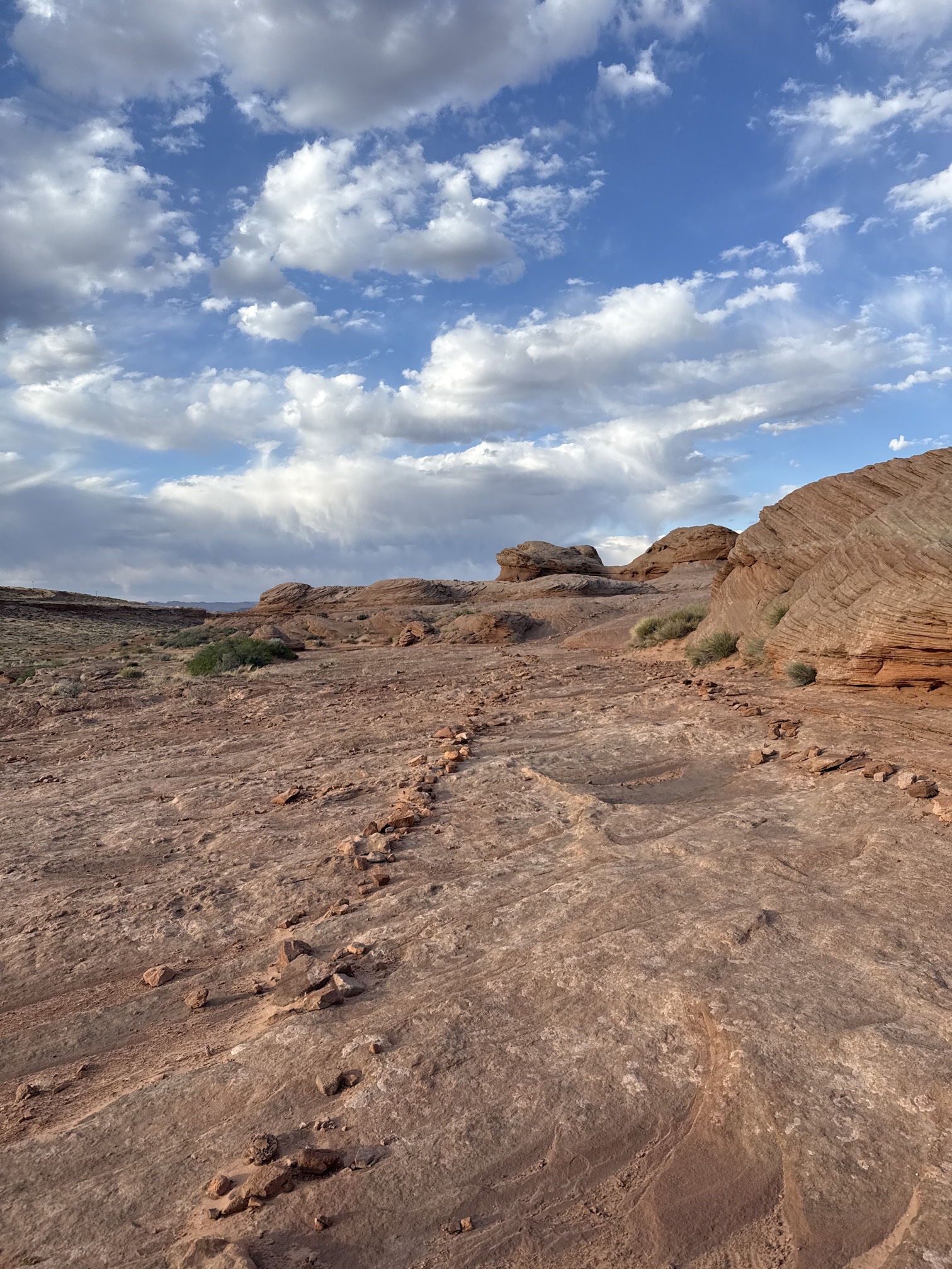 Beehive Trail Loop & New Wave