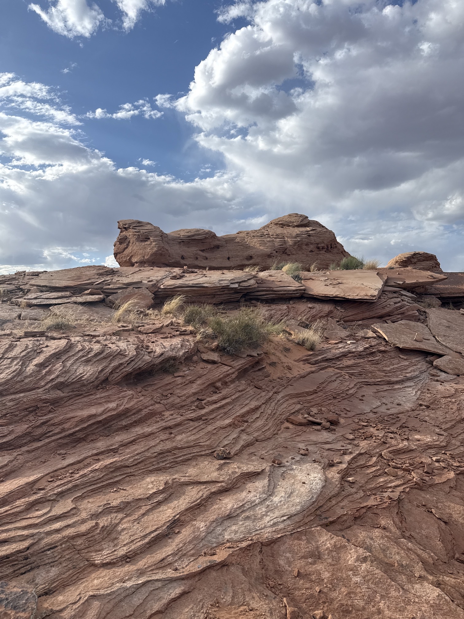 Beehive Trail Loop & New Wave