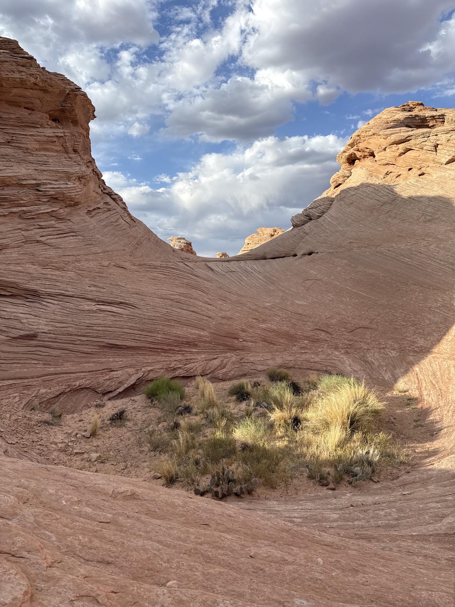 Beehive Trail Loop & New Wave