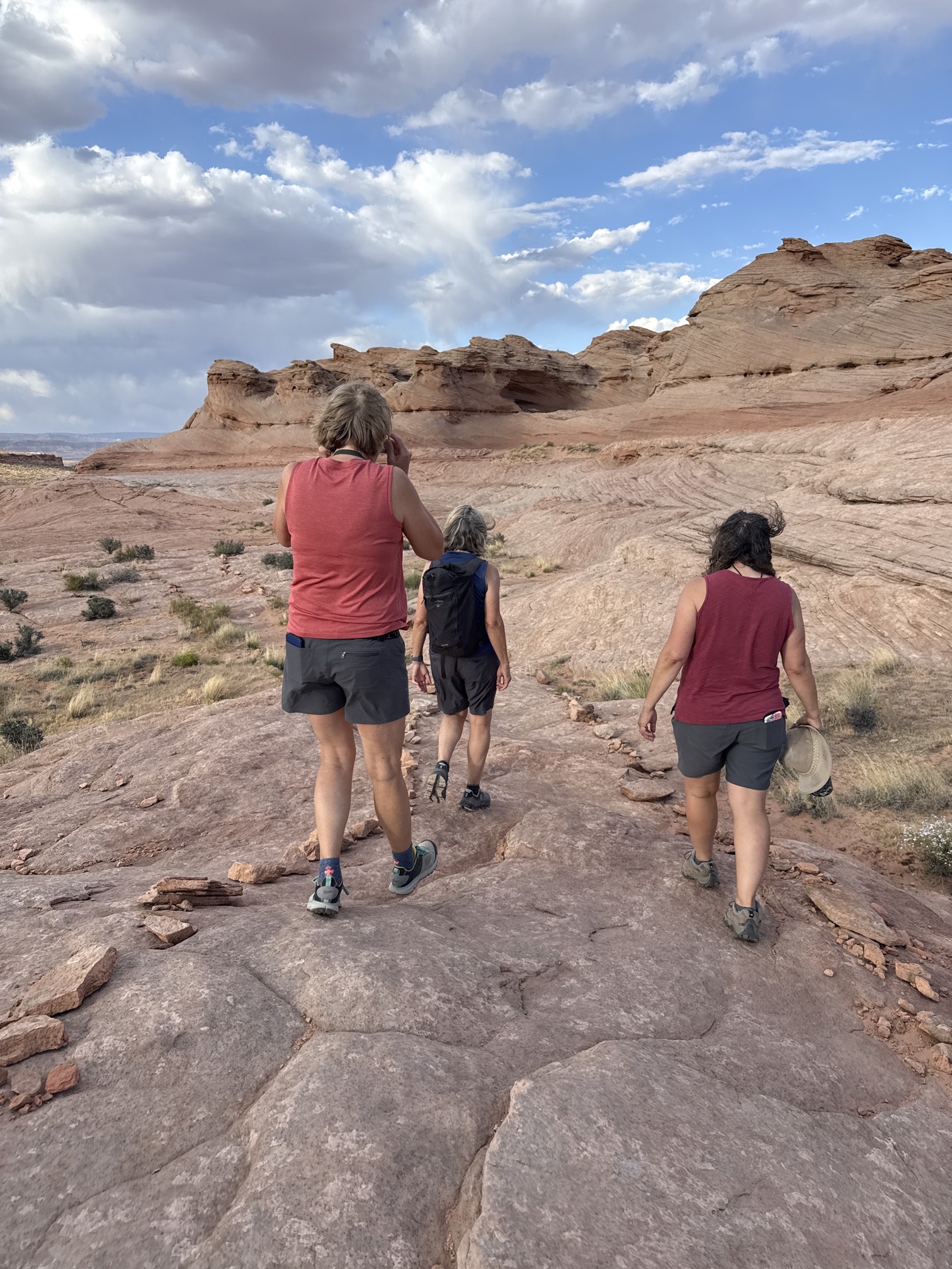 Beehive Trail Loop & New Wave