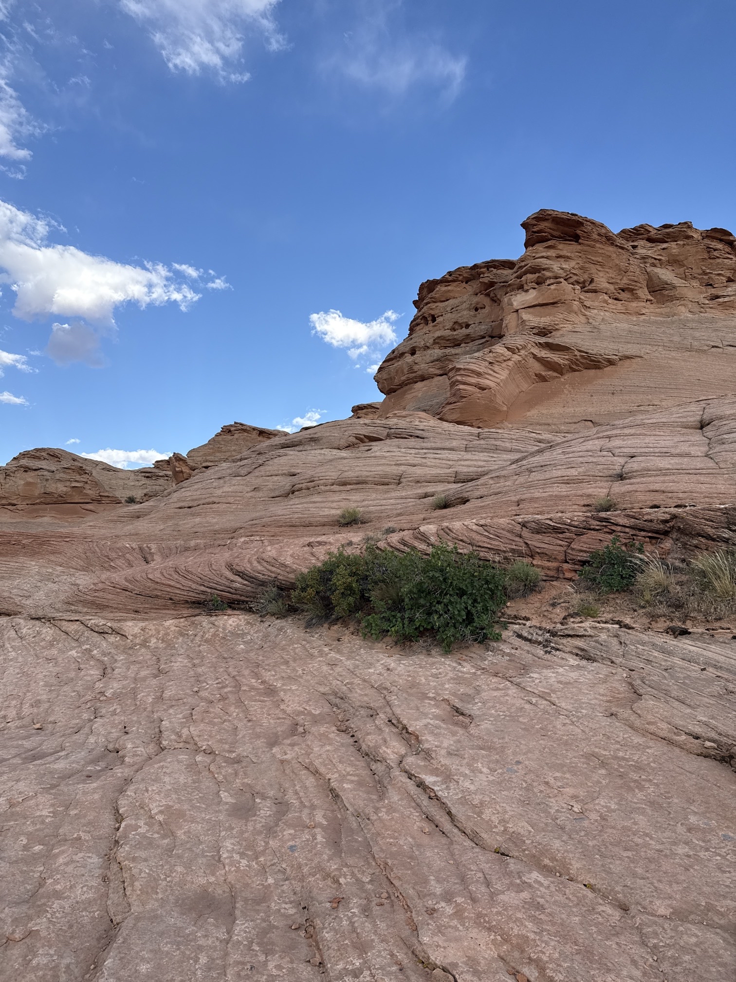Beehive Trail Loop & New Wave