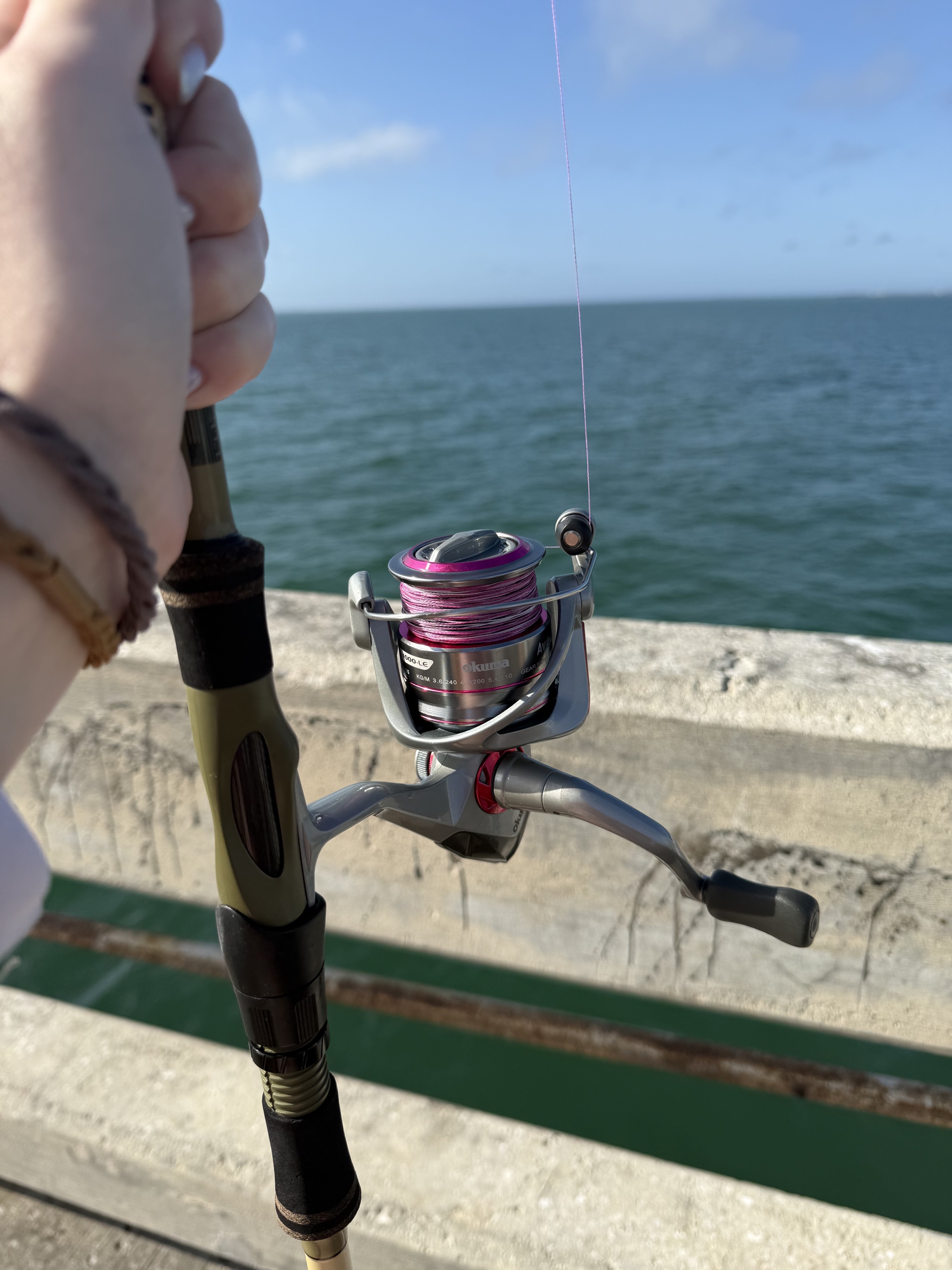 Skyway Fishing Pier