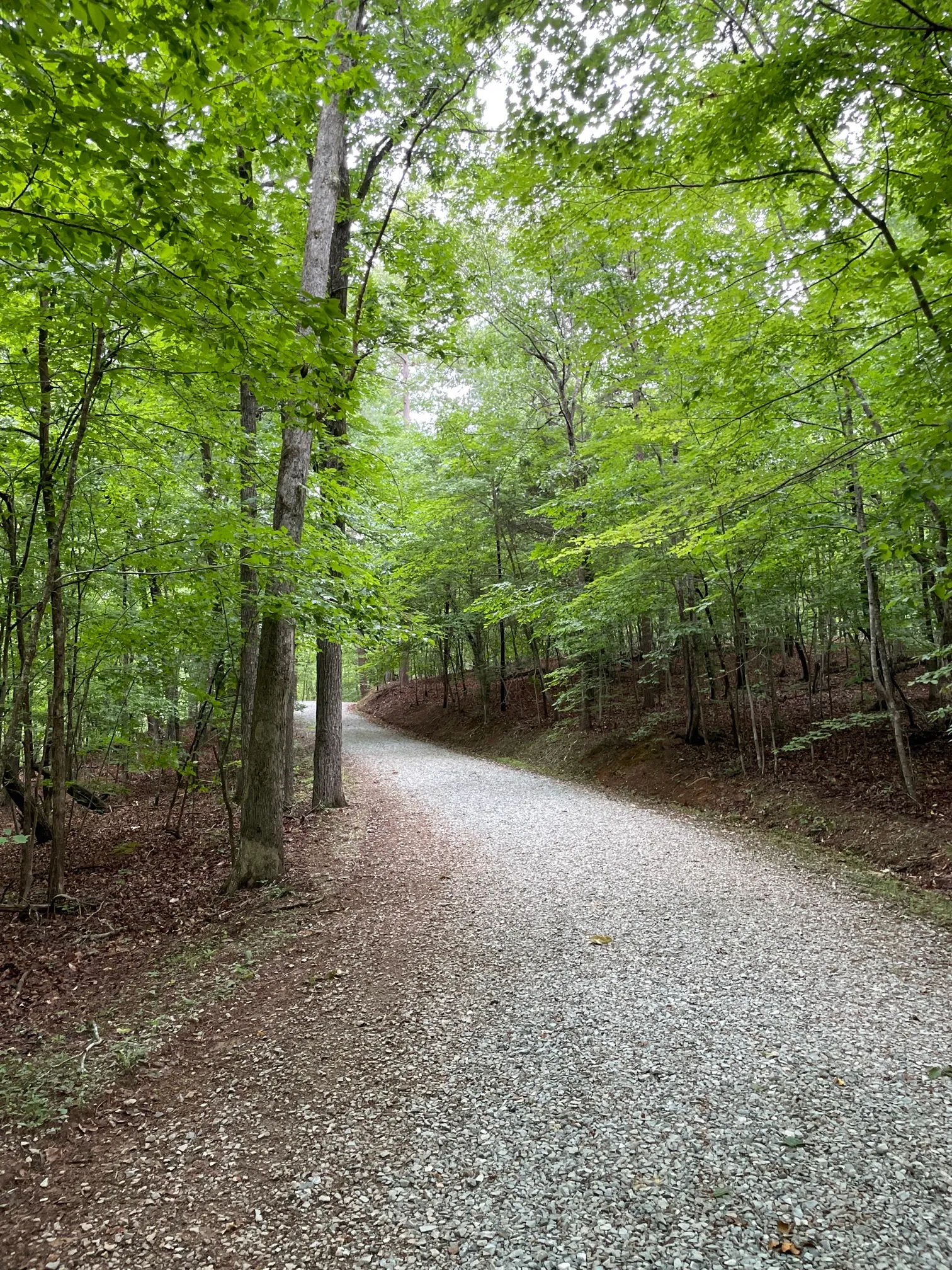 Concrete and Wooden Bridge Fire Road Loop Trail
