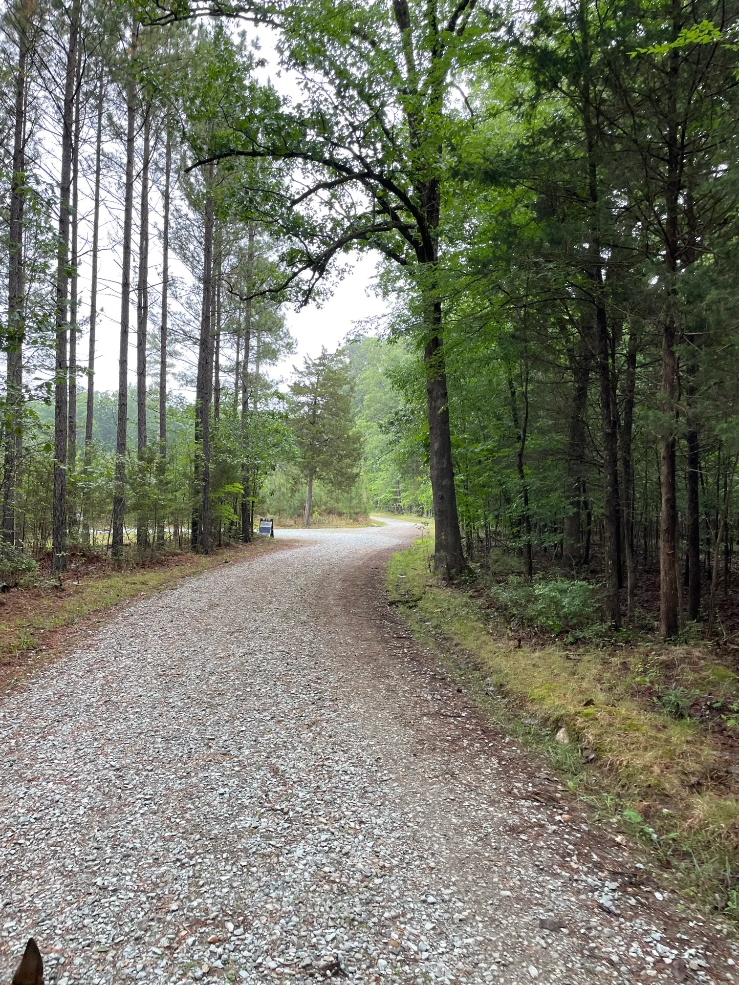Concrete and Wooden Bridge Fire Road Loop Trail