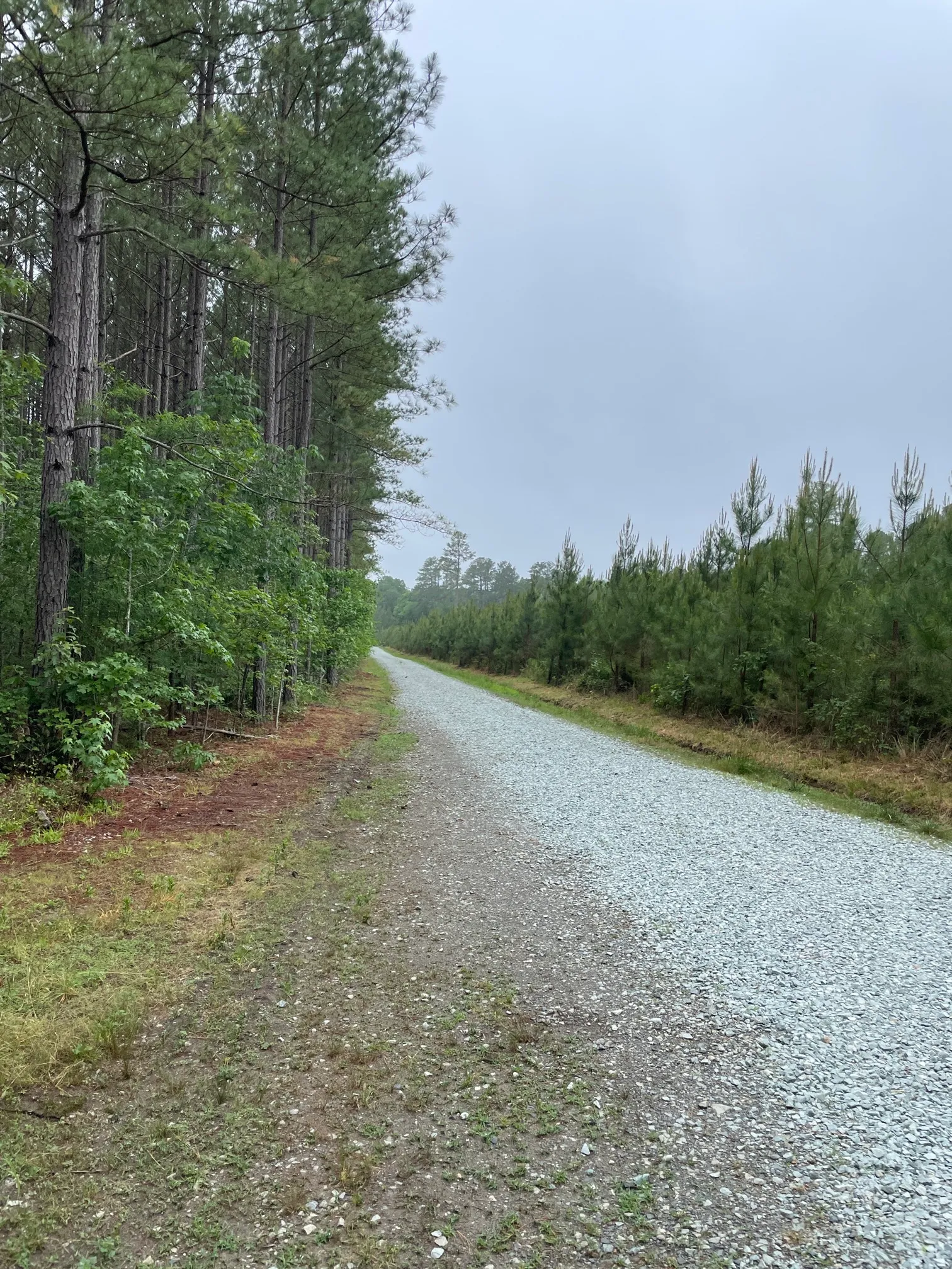 Concrete and Wooden Bridge Fire Road Loop Trail