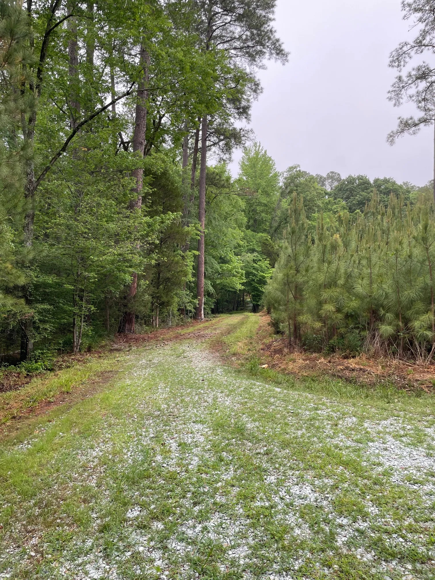 Concrete and Wooden Bridge Fire Road Loop Trail