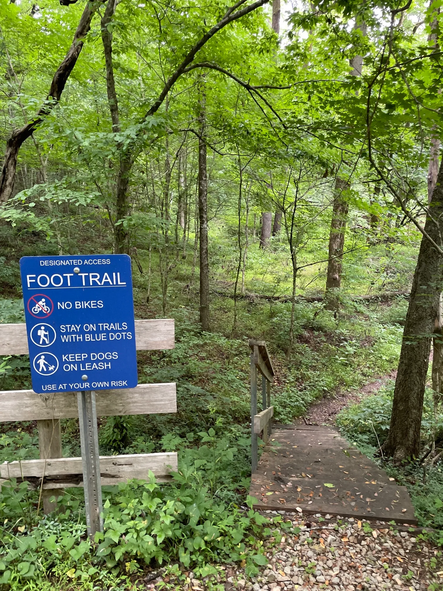 Concrete and Wooden Bridge Fire Road Loop Trail