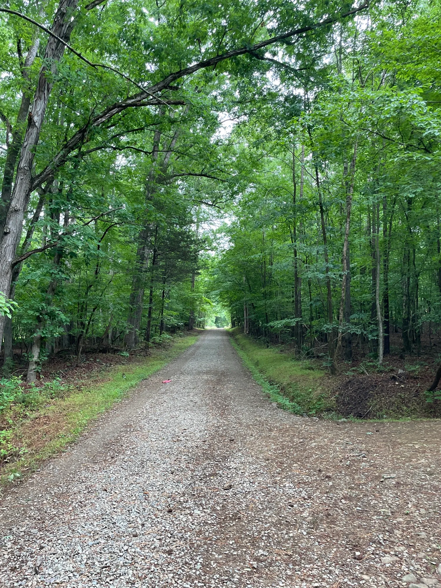 Concrete and Wooden Bridge Fire Road Loop Trail