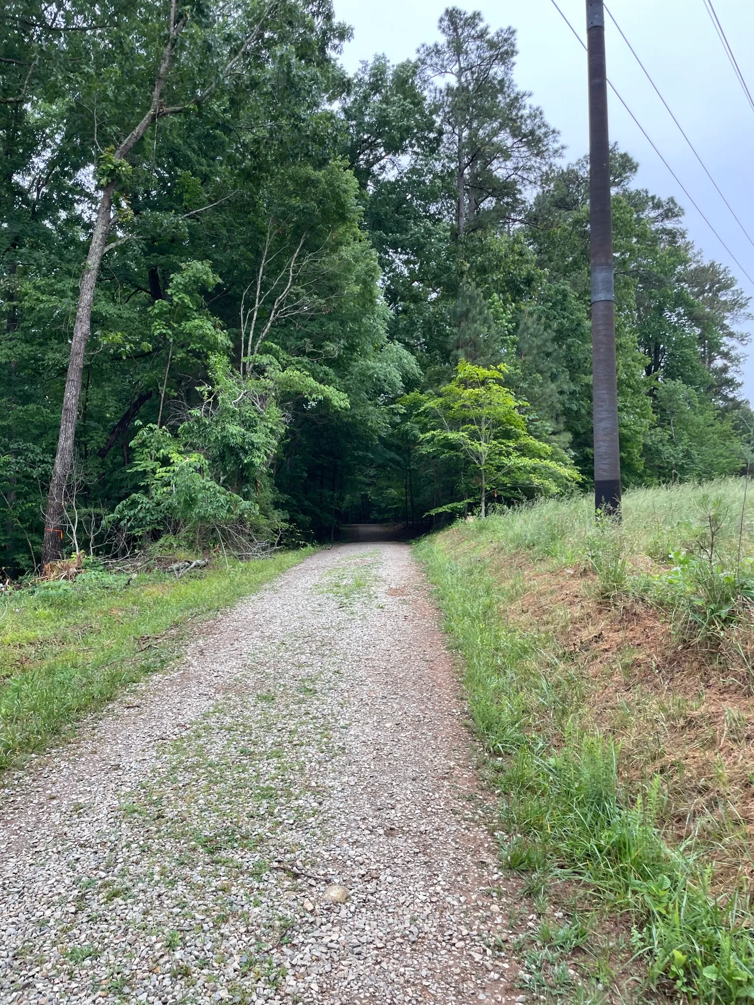 Concrete and Wooden Bridge Fire Road Loop Trail