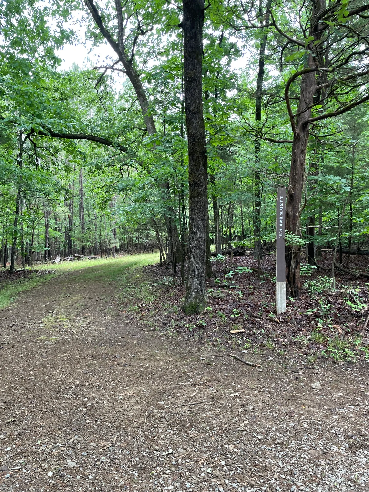 Concrete and Wooden Bridge Fire Road Loop Trail