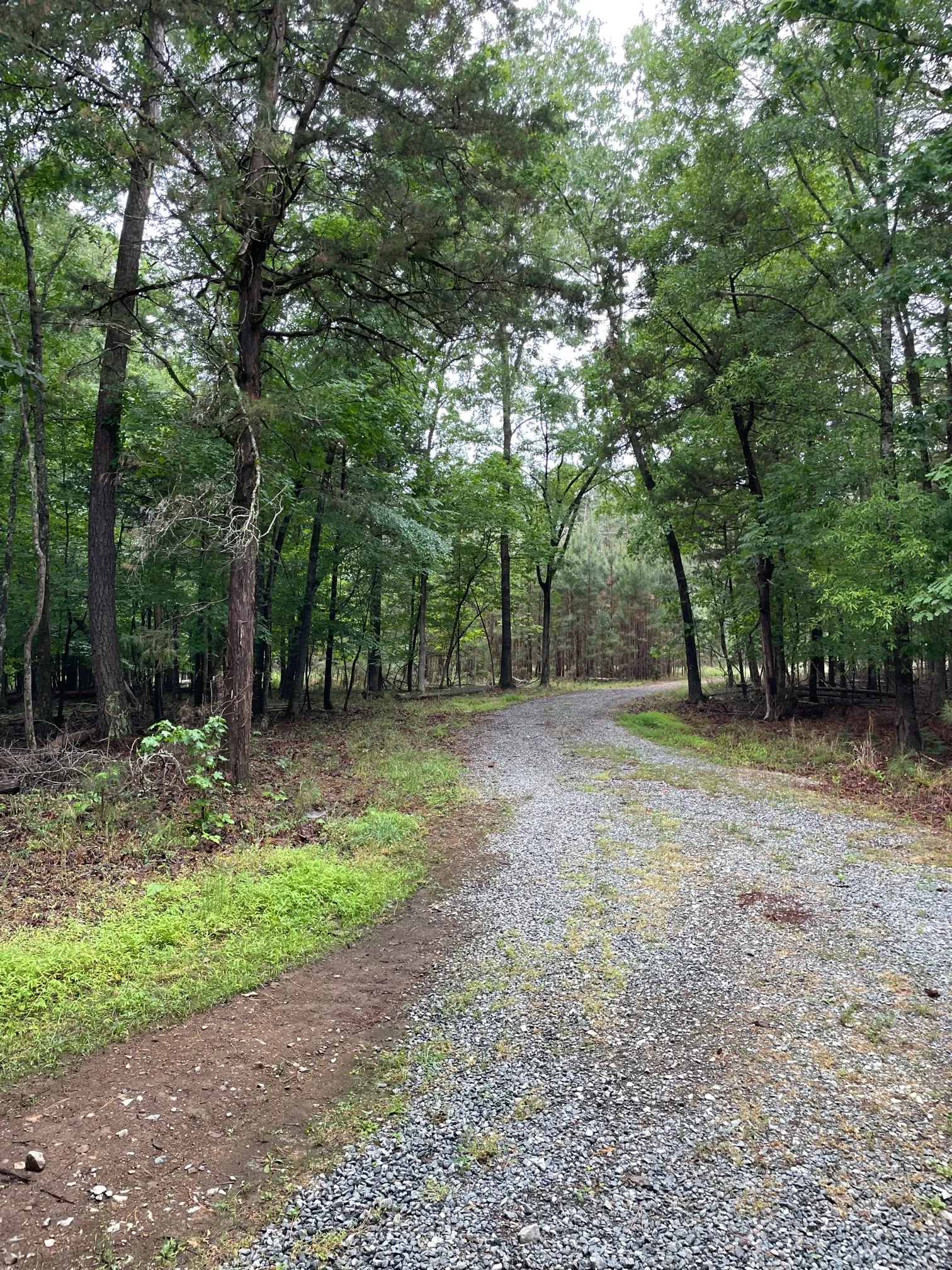 Concrete and Wooden Bridge Fire Road Loop Trail