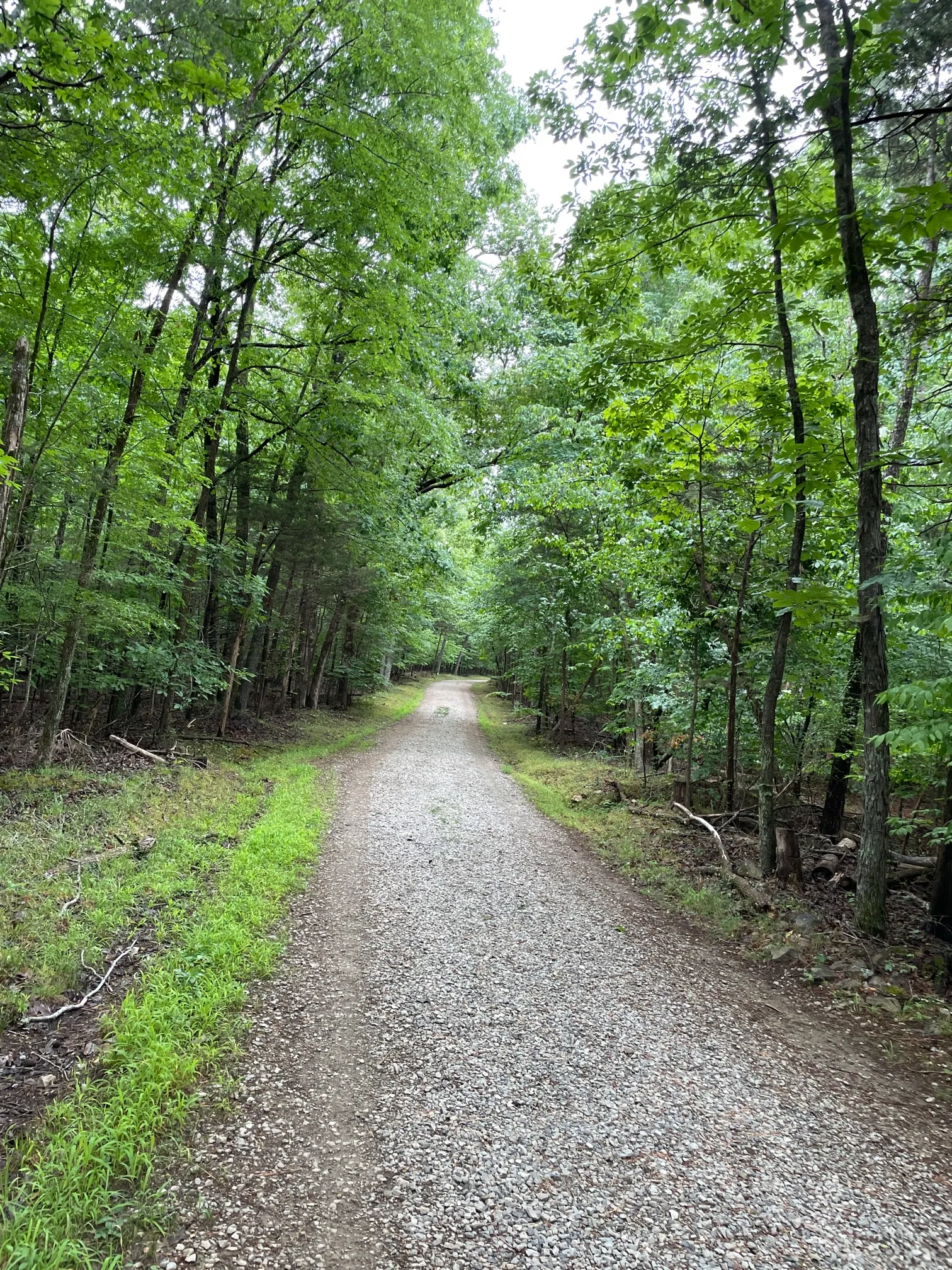 Concrete and Wooden Bridge Fire Road Loop Trail