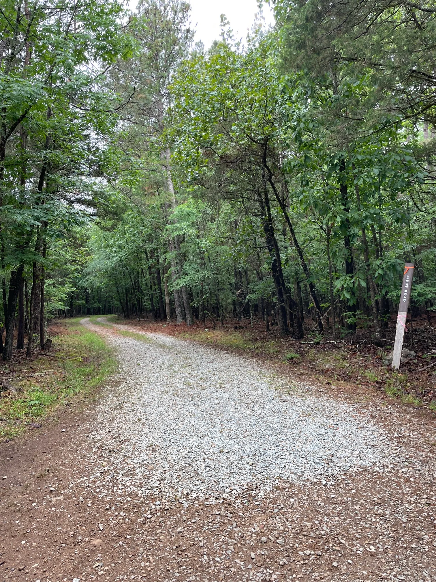 Concrete and Wooden Bridge Fire Road Loop Trail