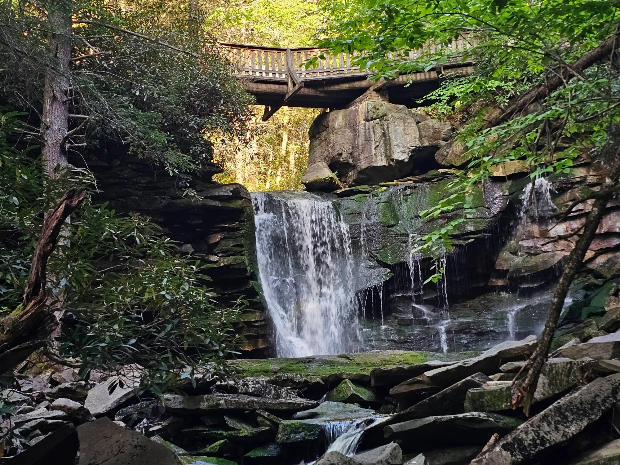 Explore Elakala Falls