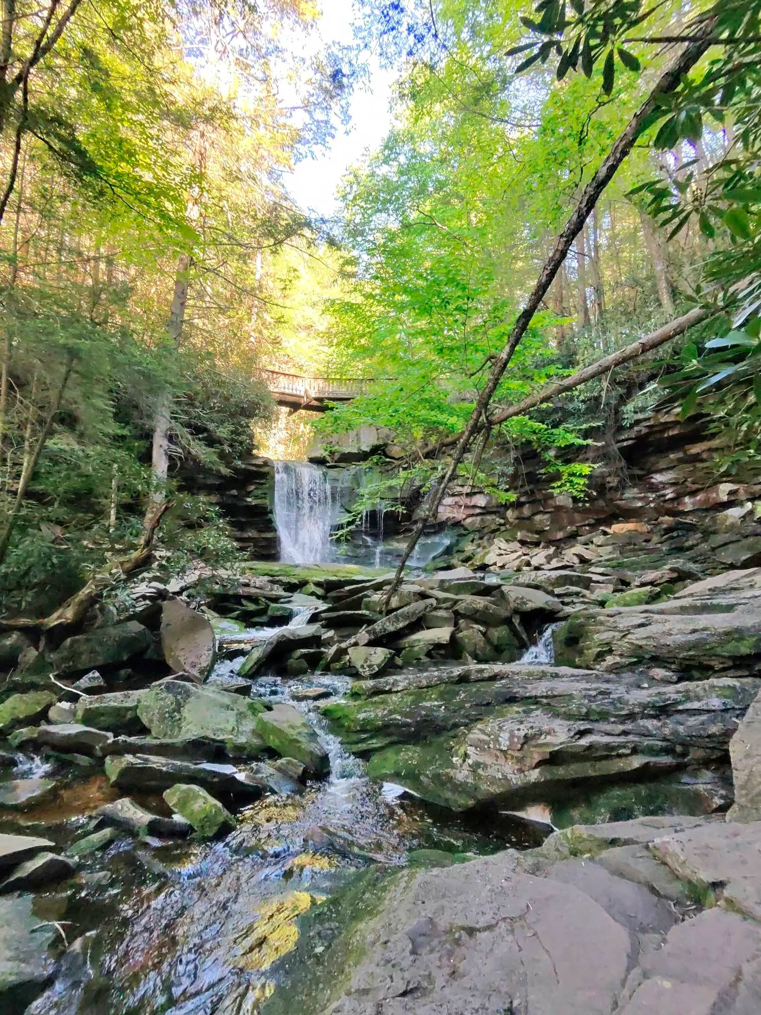 Explore Elakala Falls