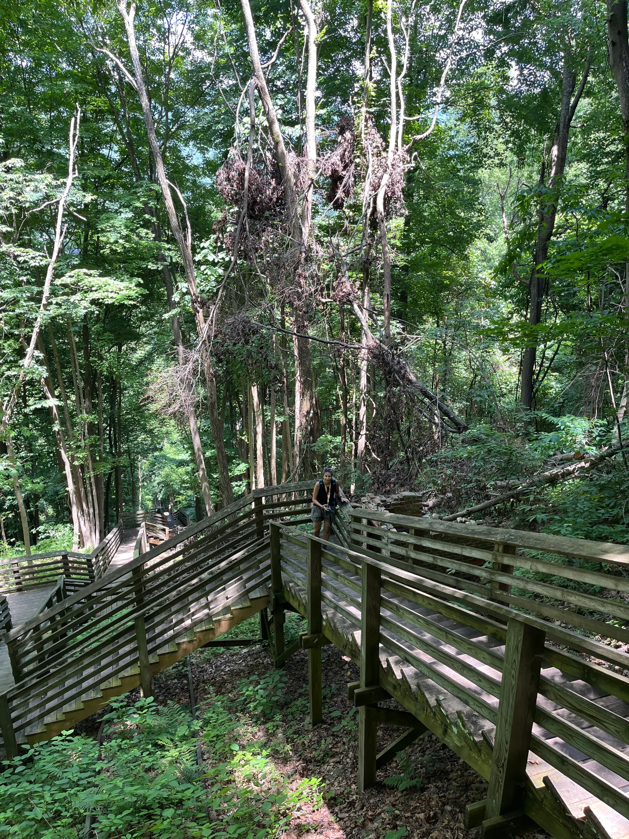 Hike the Kaymoor Miners Trail