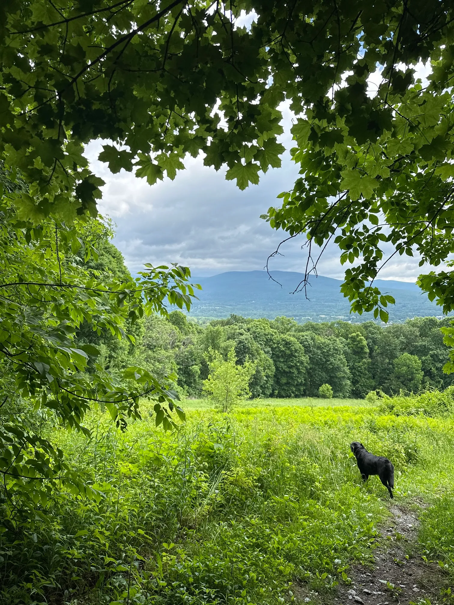 Hayfield & Ursa Way Loop