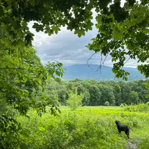 Hayfield & Ursa Way Loop