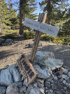 Three T’s Trail