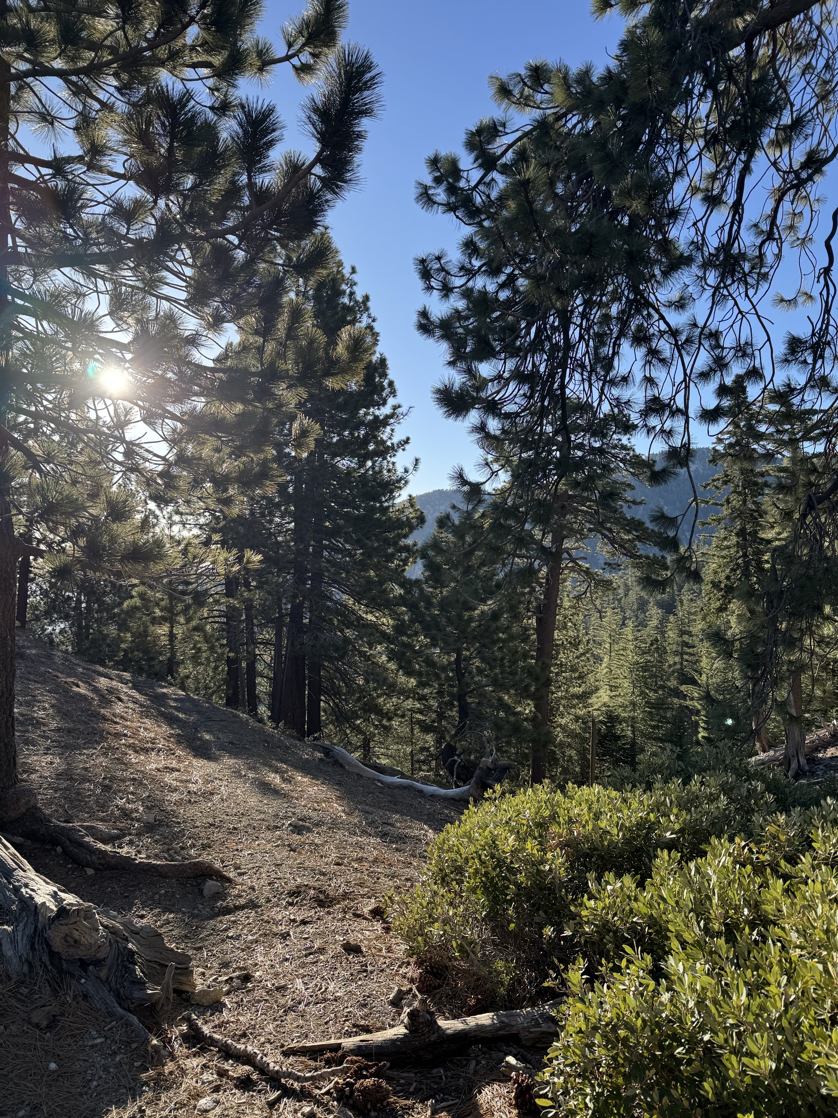 Three T’s Trail