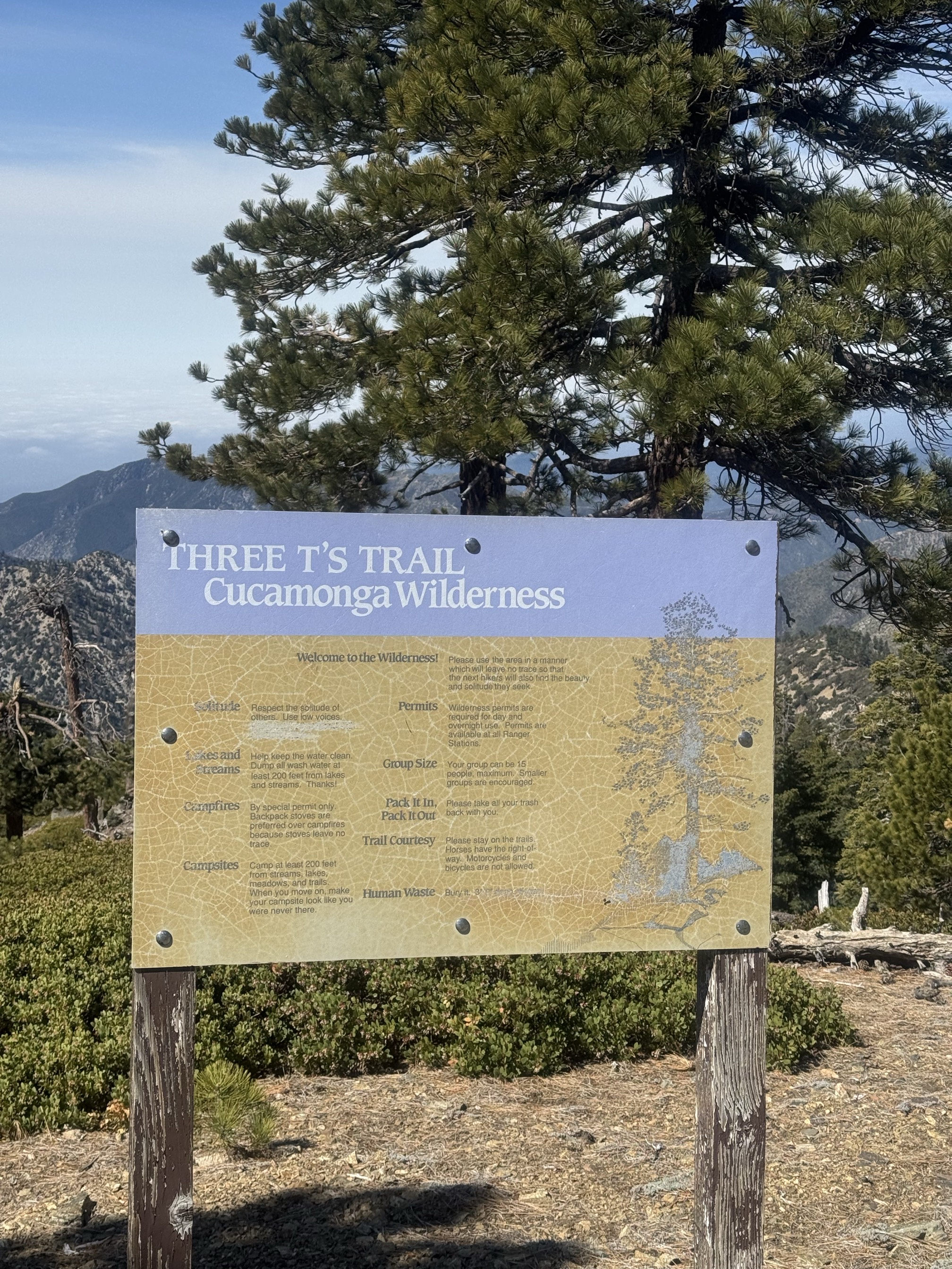 Three T’s Trail