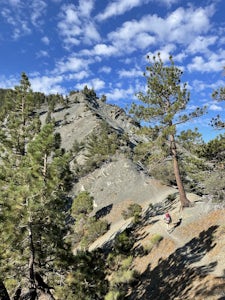 Pine Mountain via the Acorn Trail