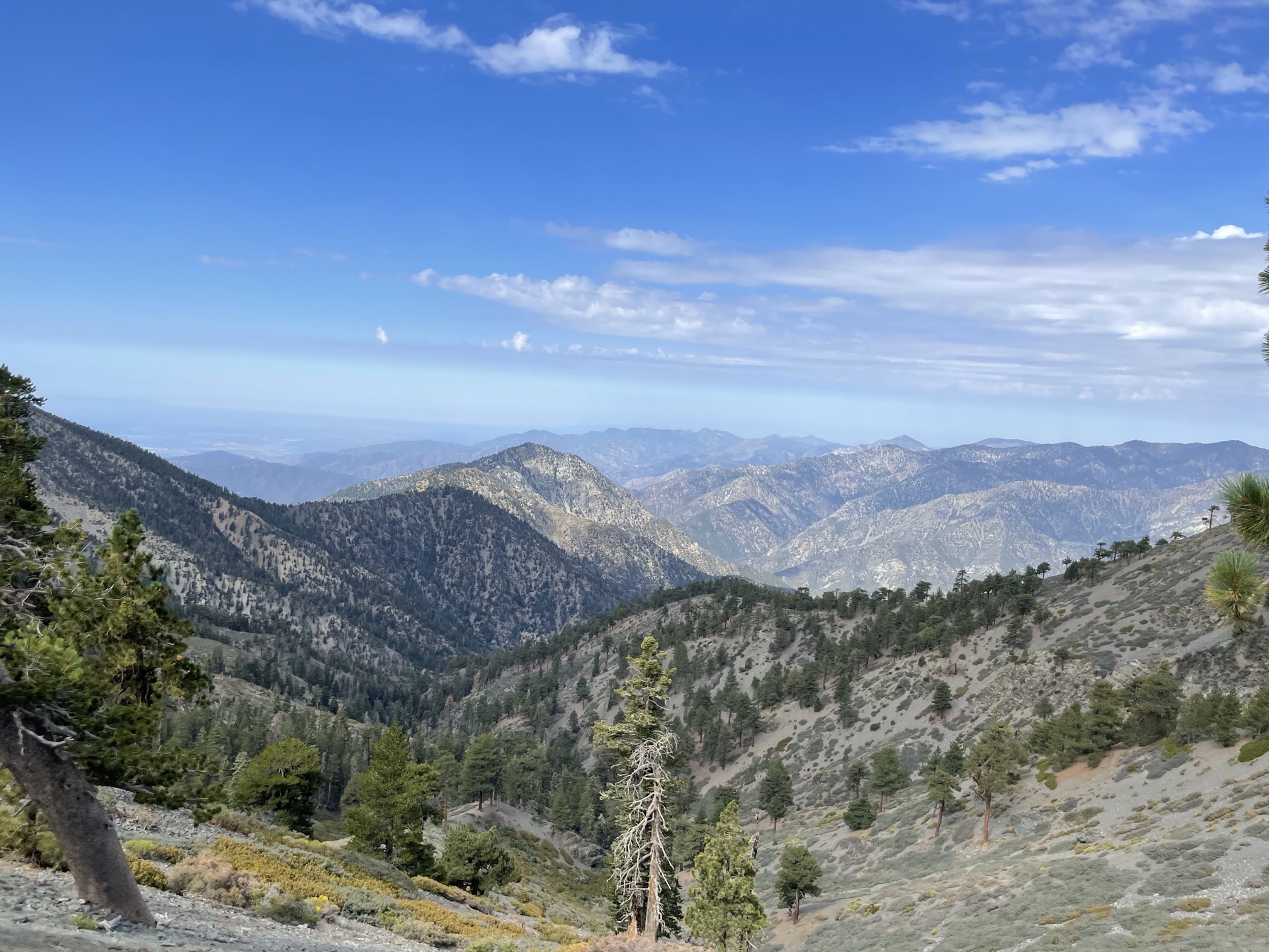 Pine Mountain via the Acorn Trail
