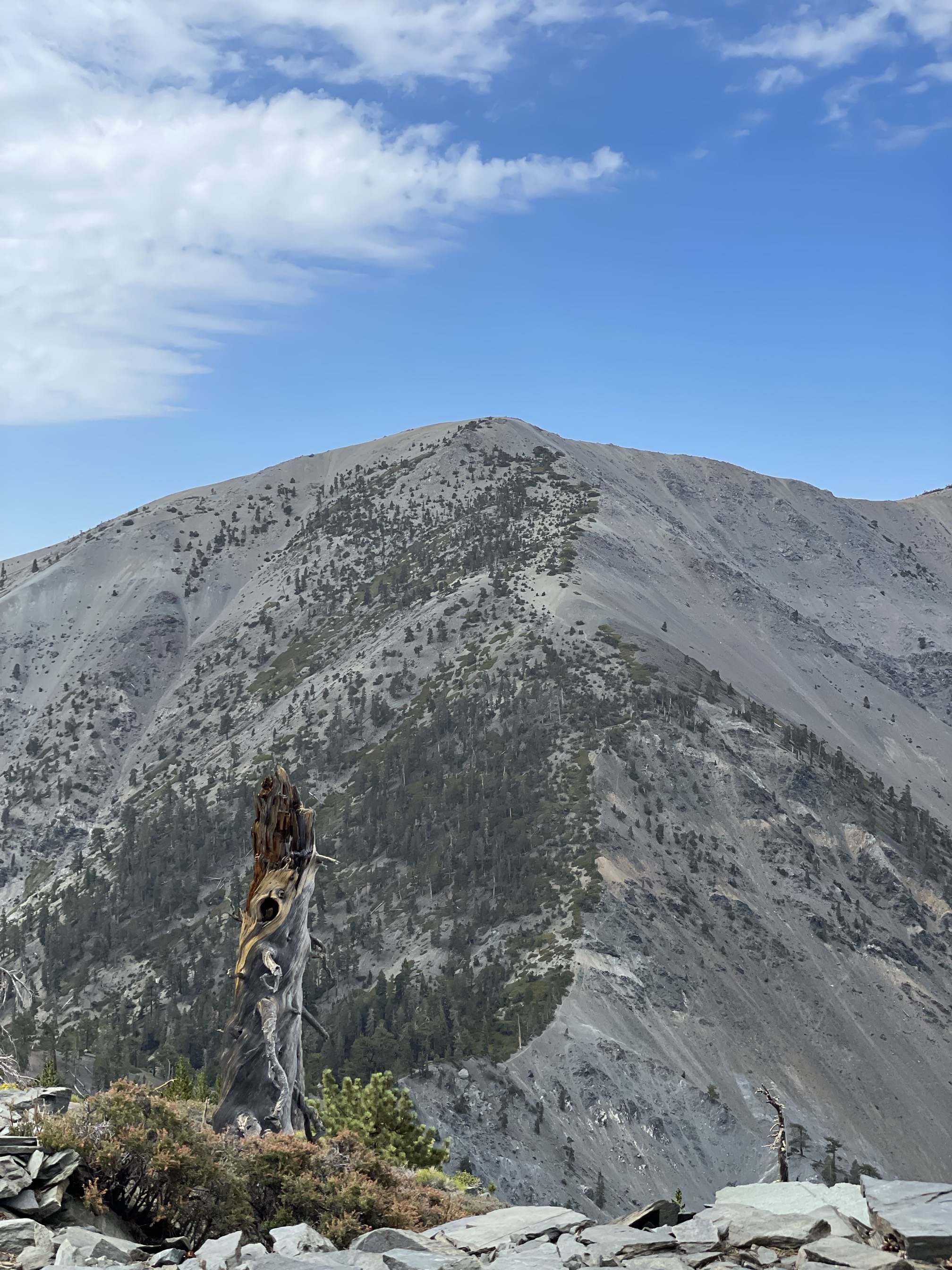 Pine Mountain via the Acorn Trail