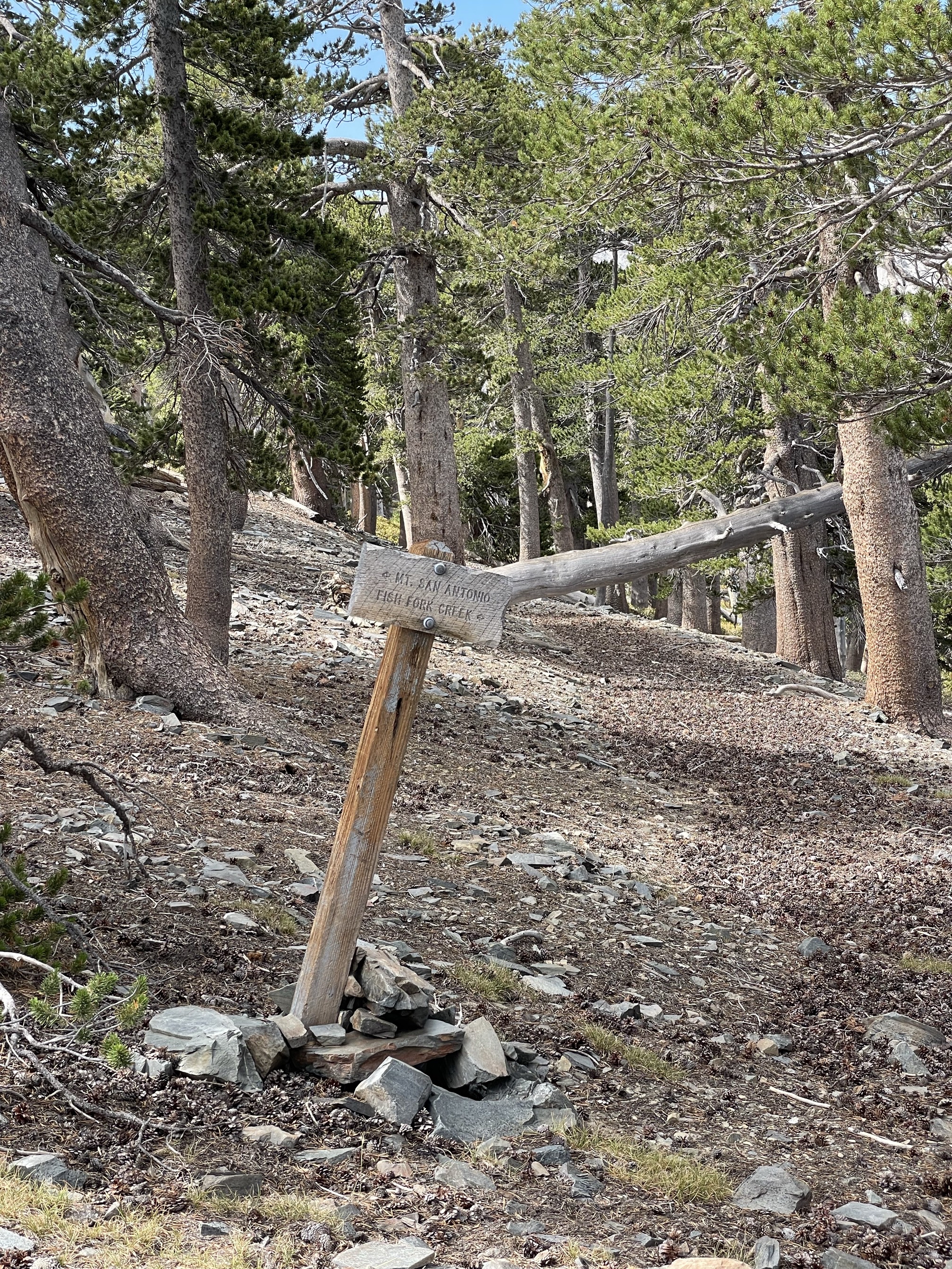 Pine Mountain via the Acorn Trail