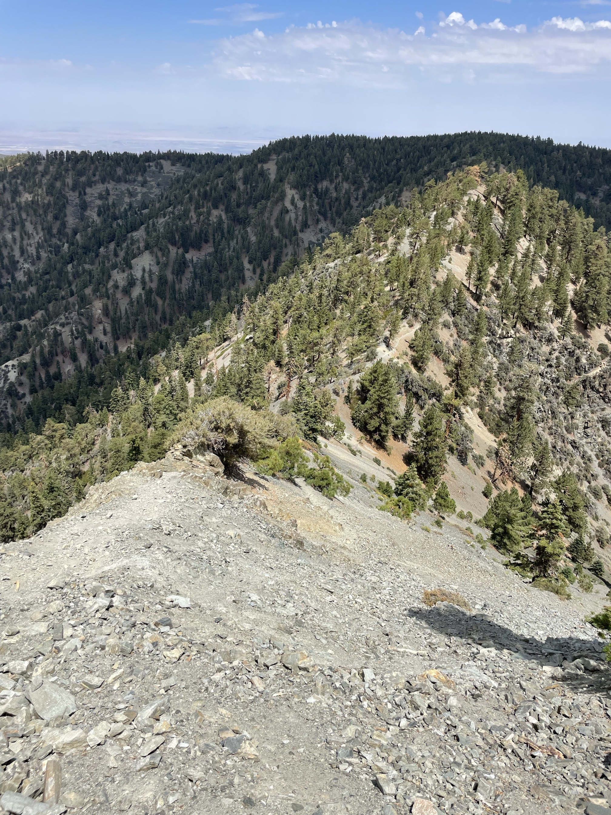 Pine Mountain via the Acorn Trail
