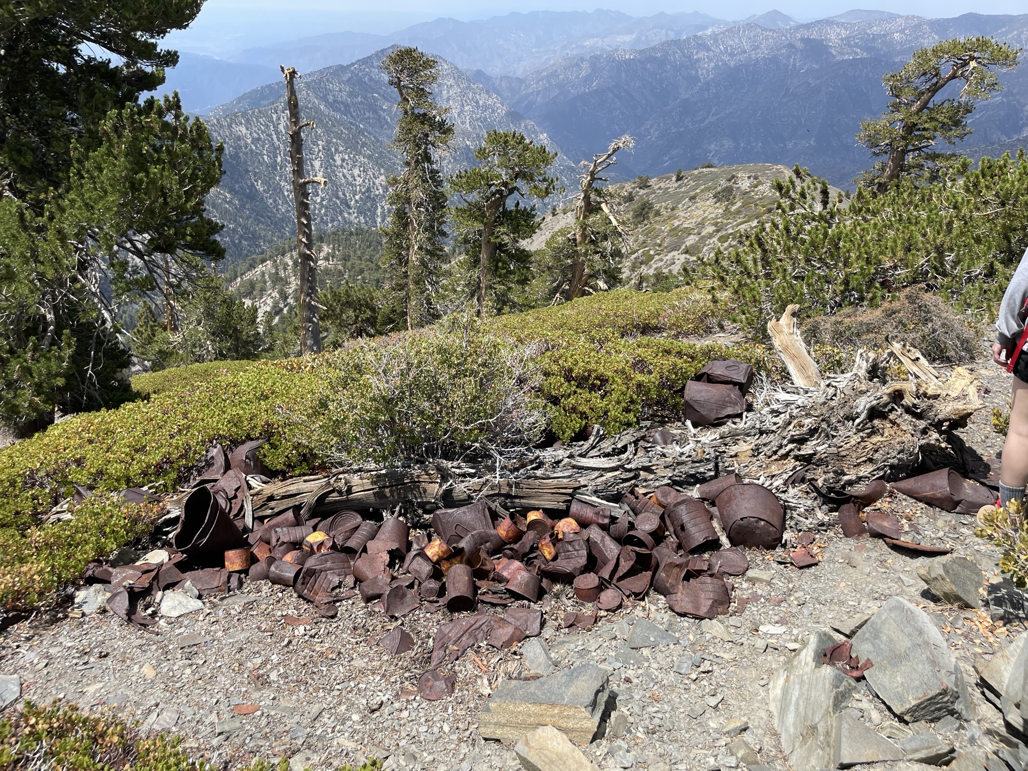 Pine Mountain via the Acorn Trail