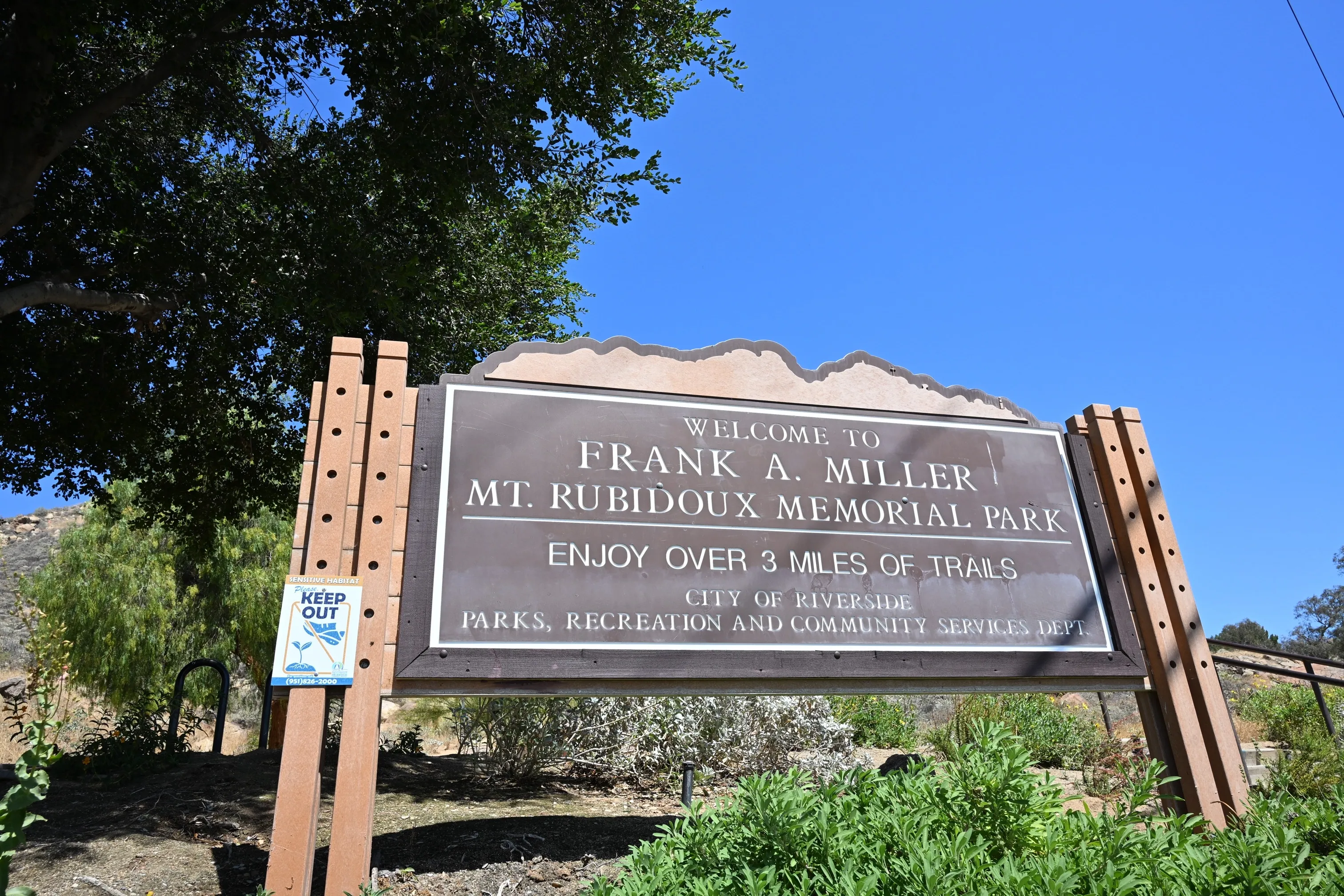 Hike Mt. Rubidoux