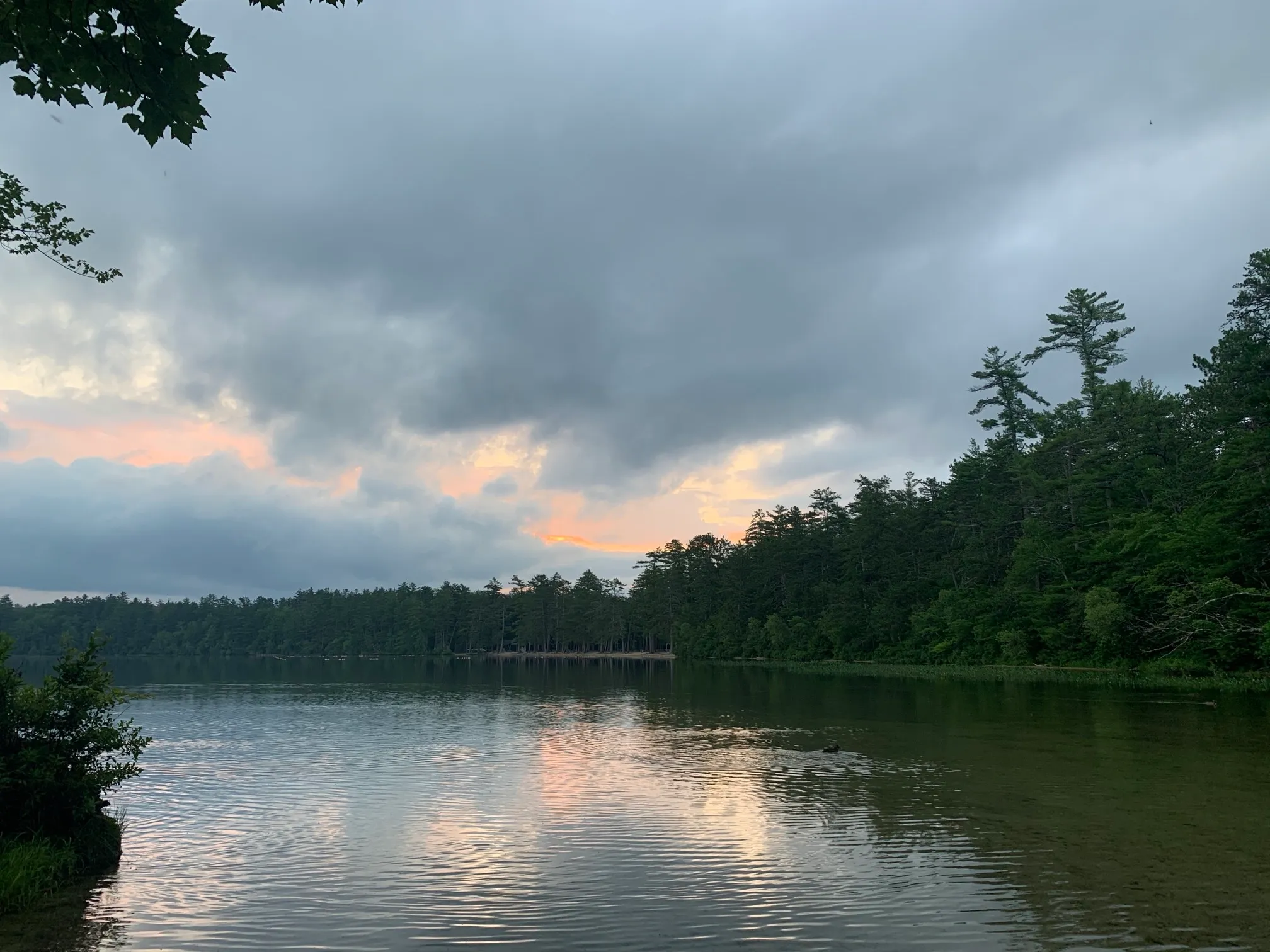 Houghton's Pond Recreation Area