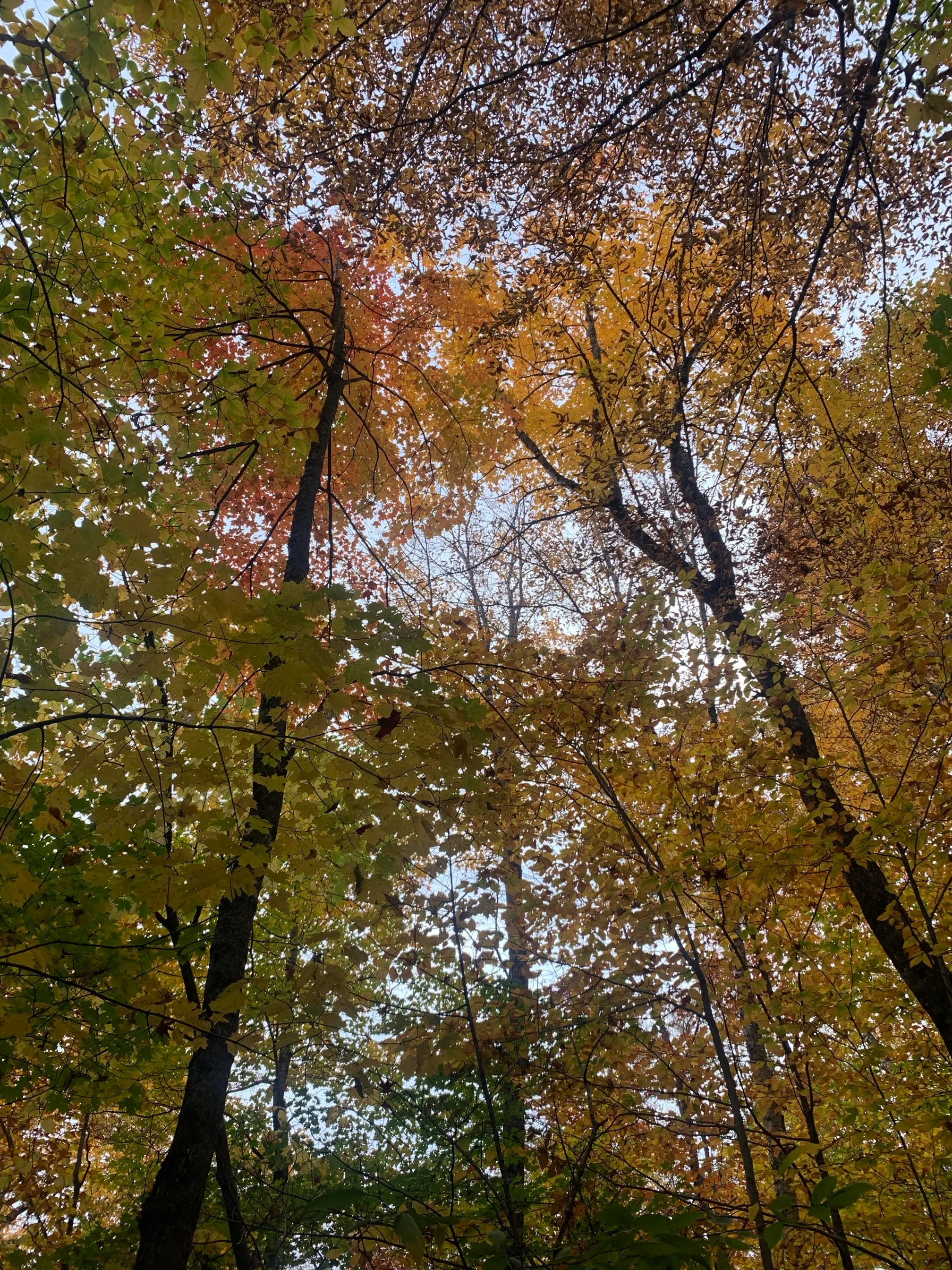 Lafayette Place Campground