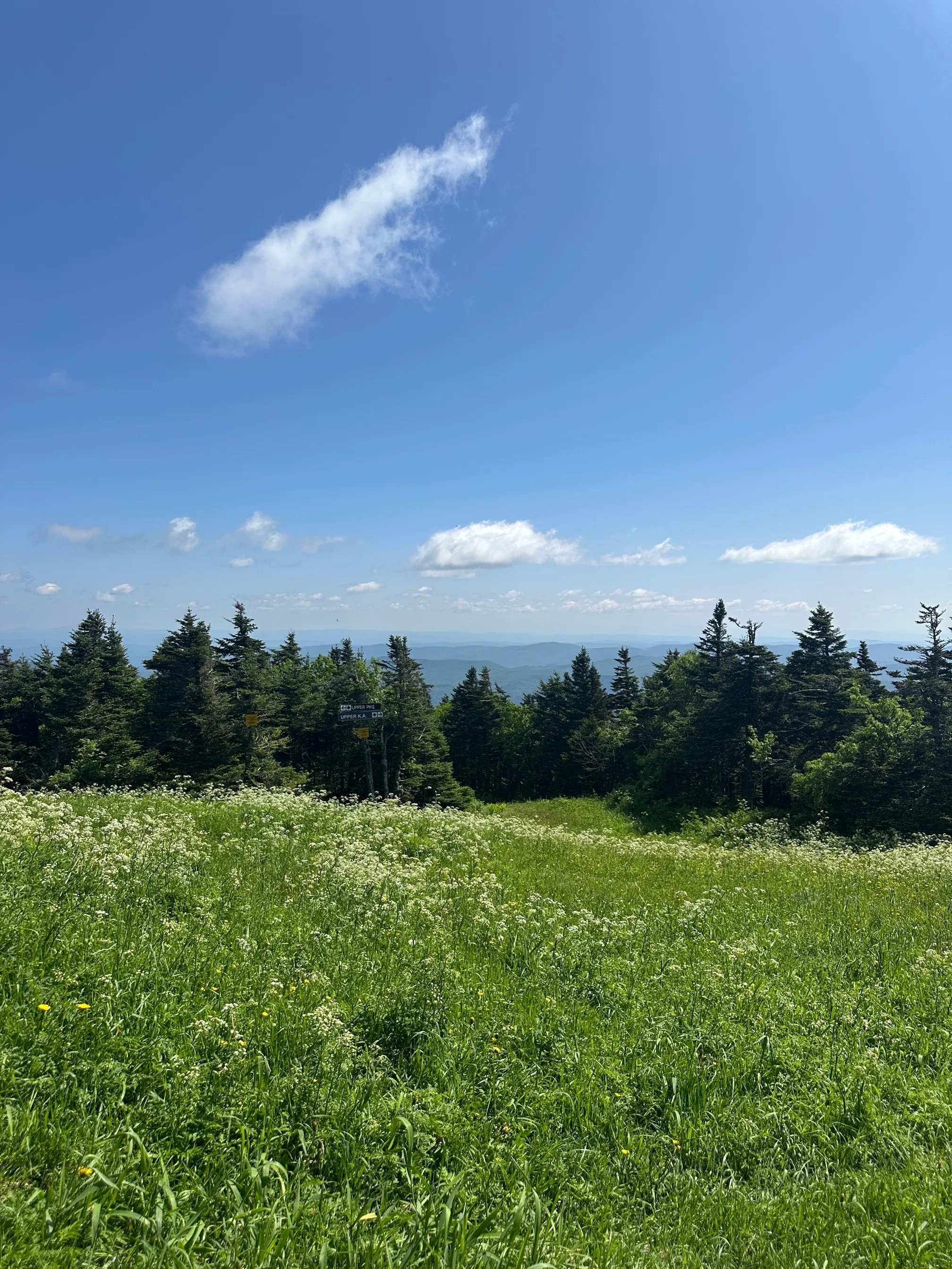 Pico Peak