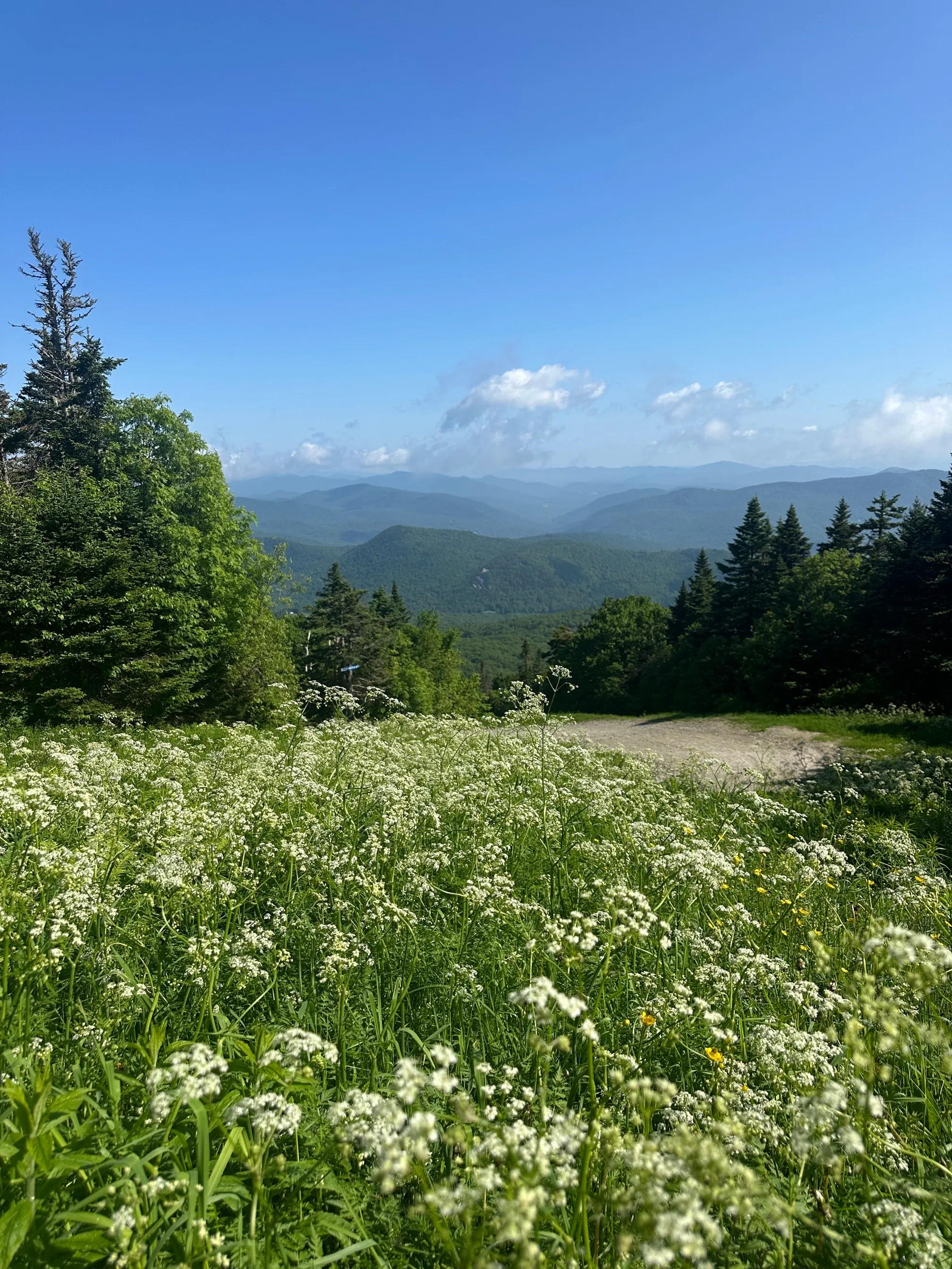 Pico Peak