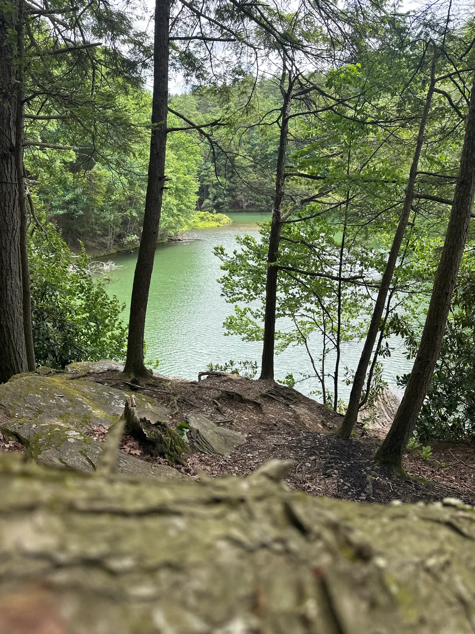 Christman and Falls Trail Loop