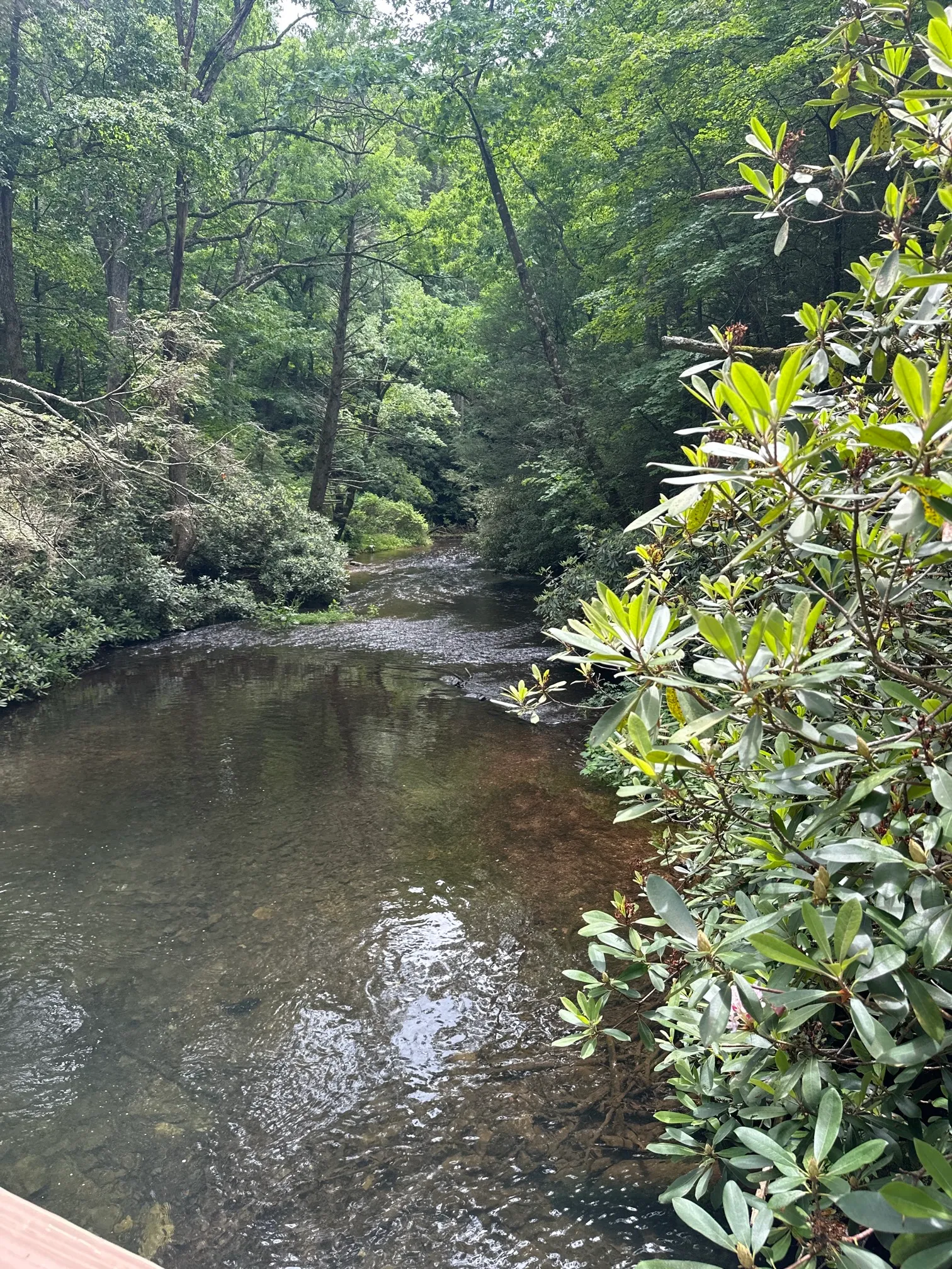 Christman and Falls Trail Loop