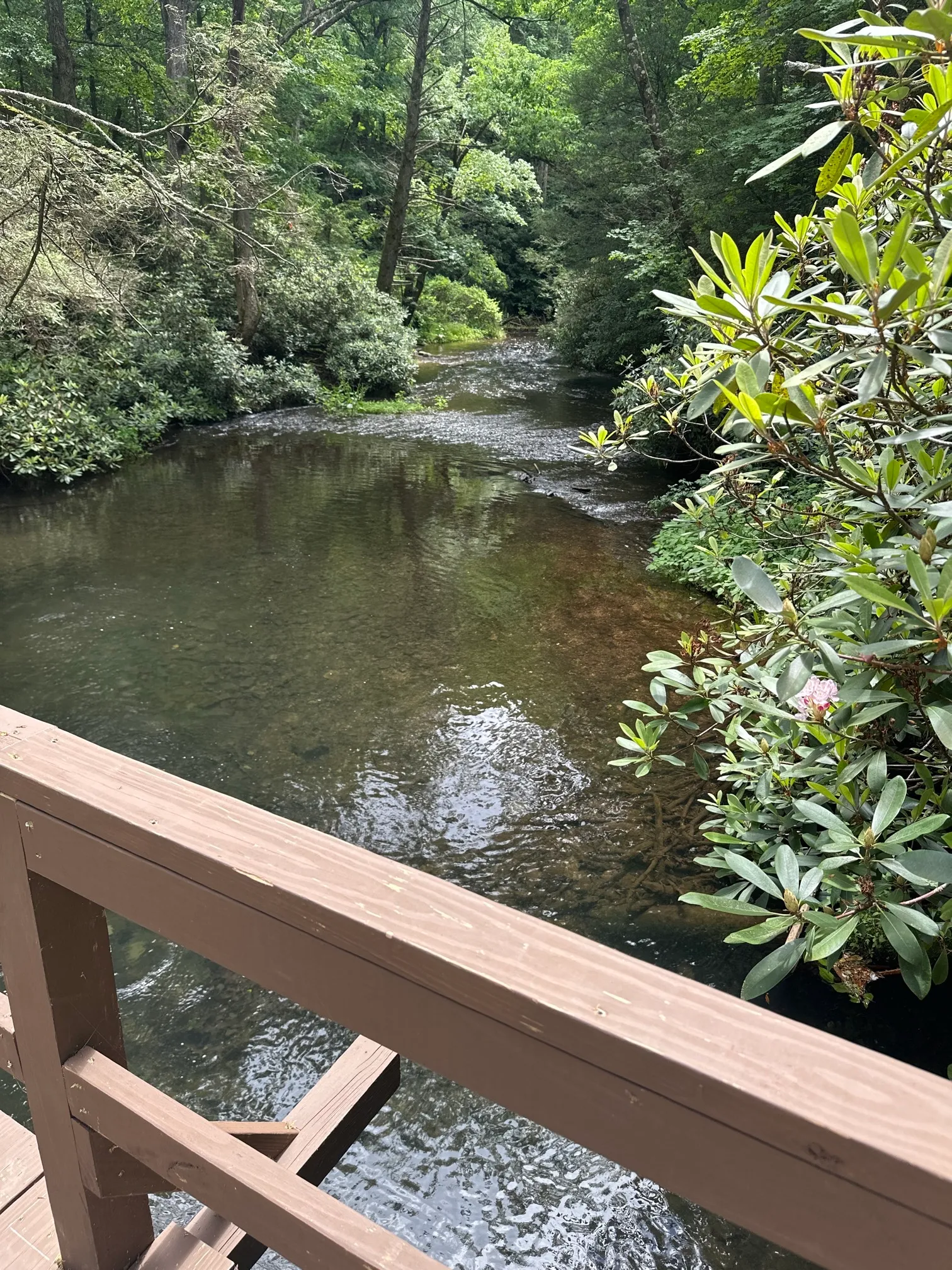 Christman and Falls Trail Loop