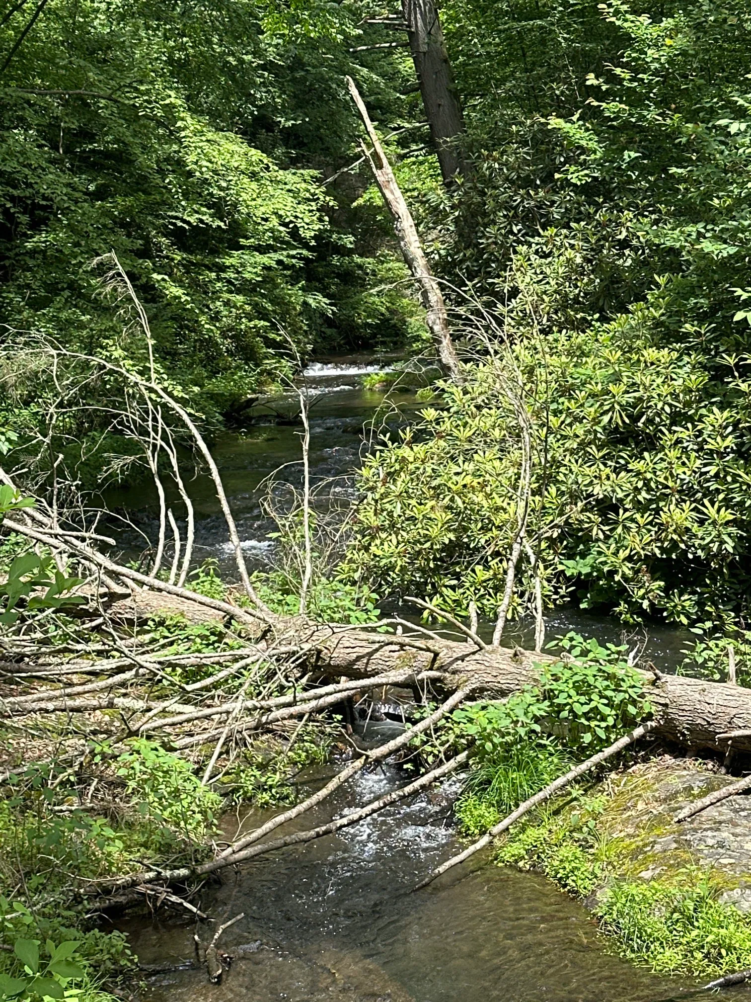 Christman and Falls Trail Loop