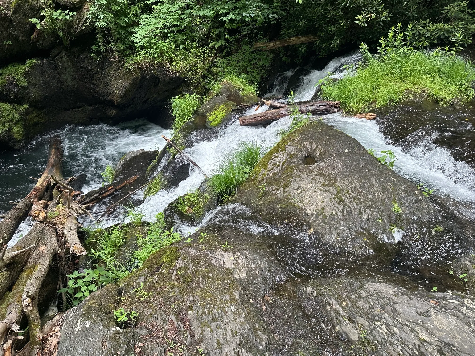 Christman and Falls Trail Loop