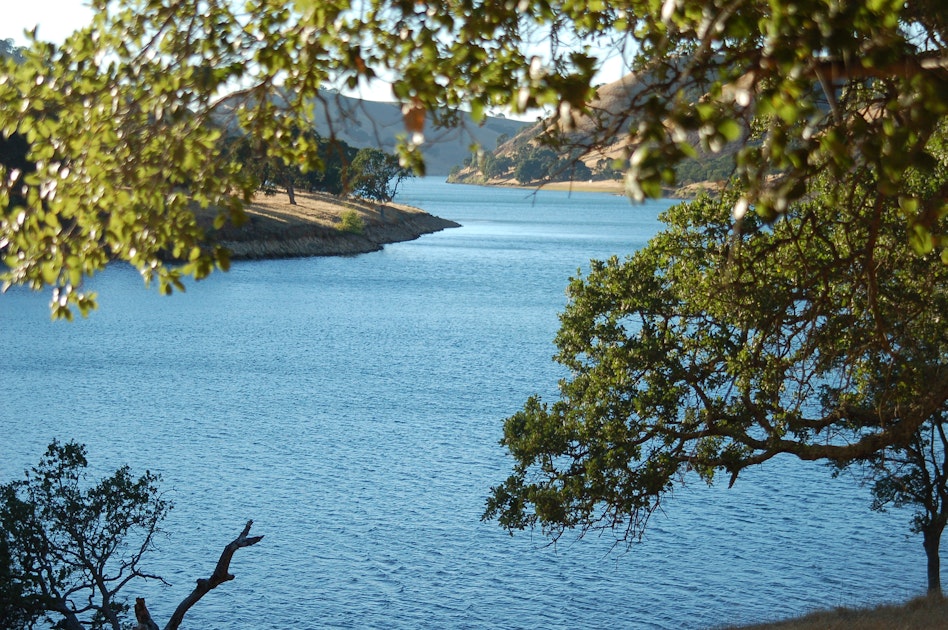 Easy Lakeside Camping, Del Valle Regional Park