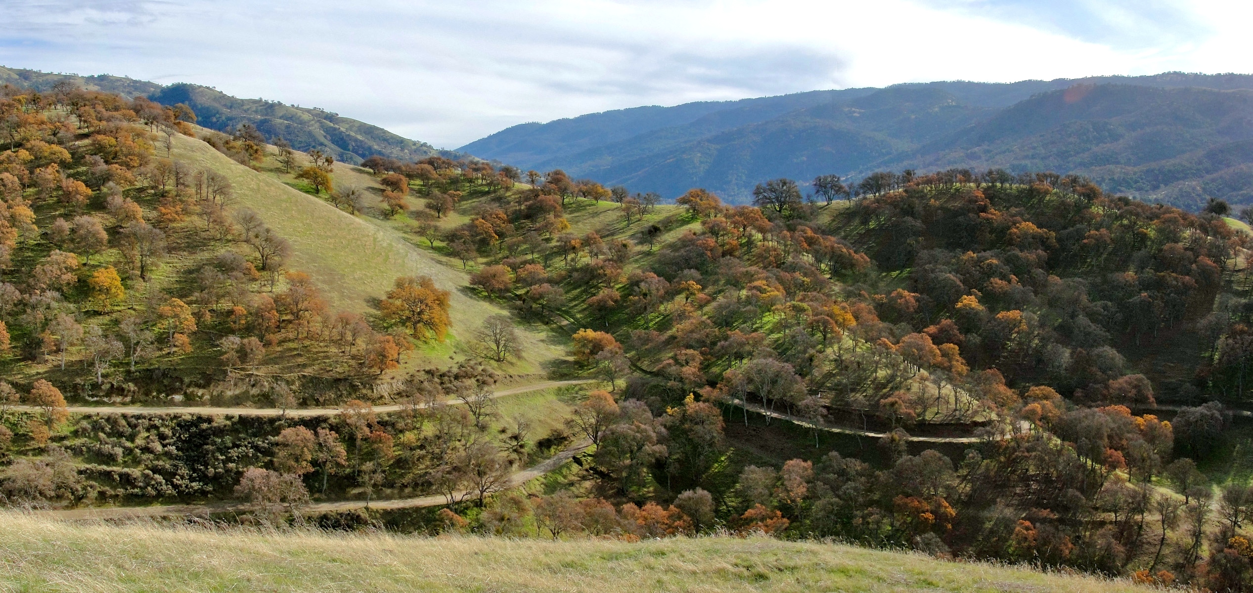Del Valle Regional Park