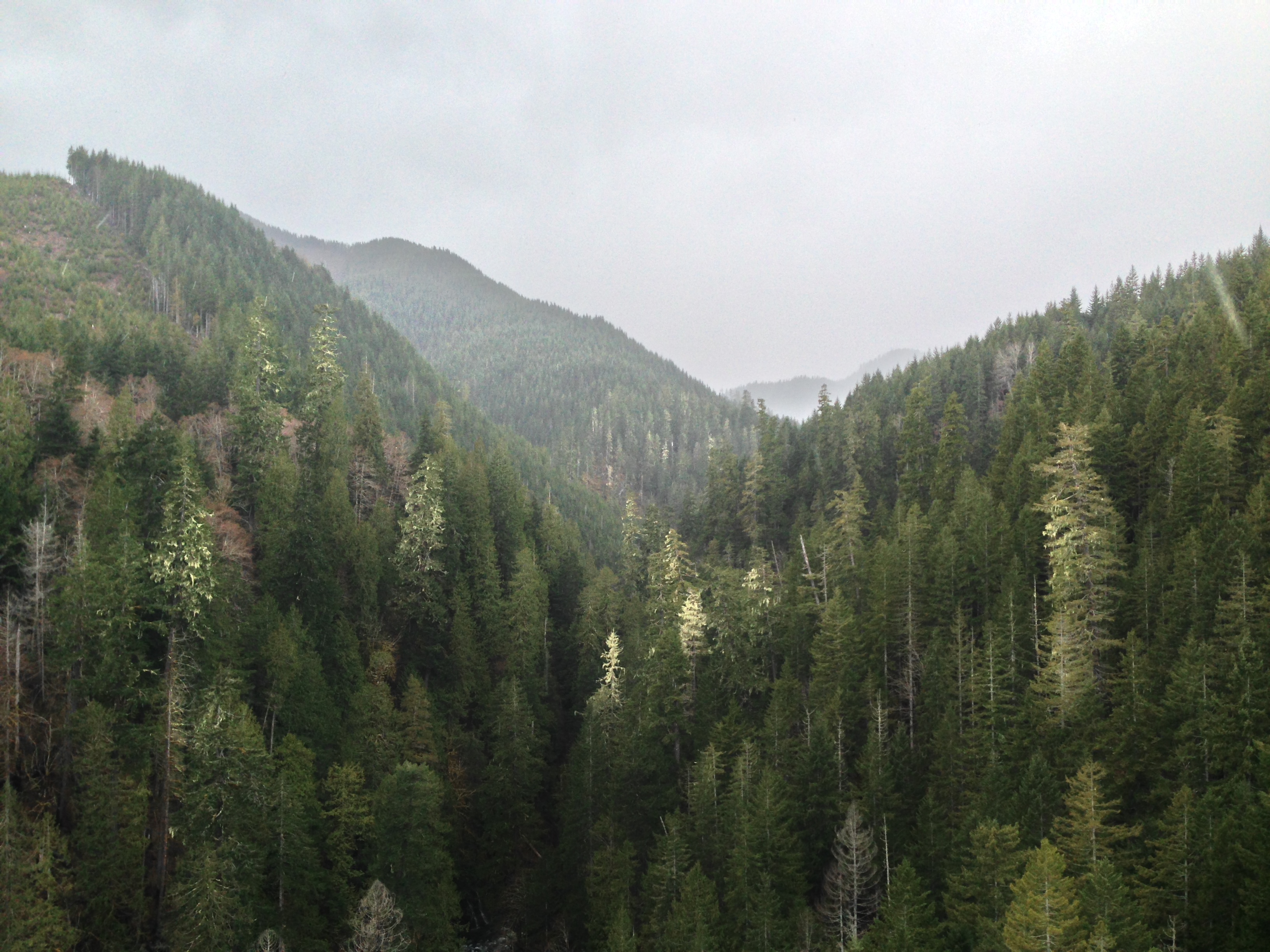 Hike the Vance Creek Viaduct Trail