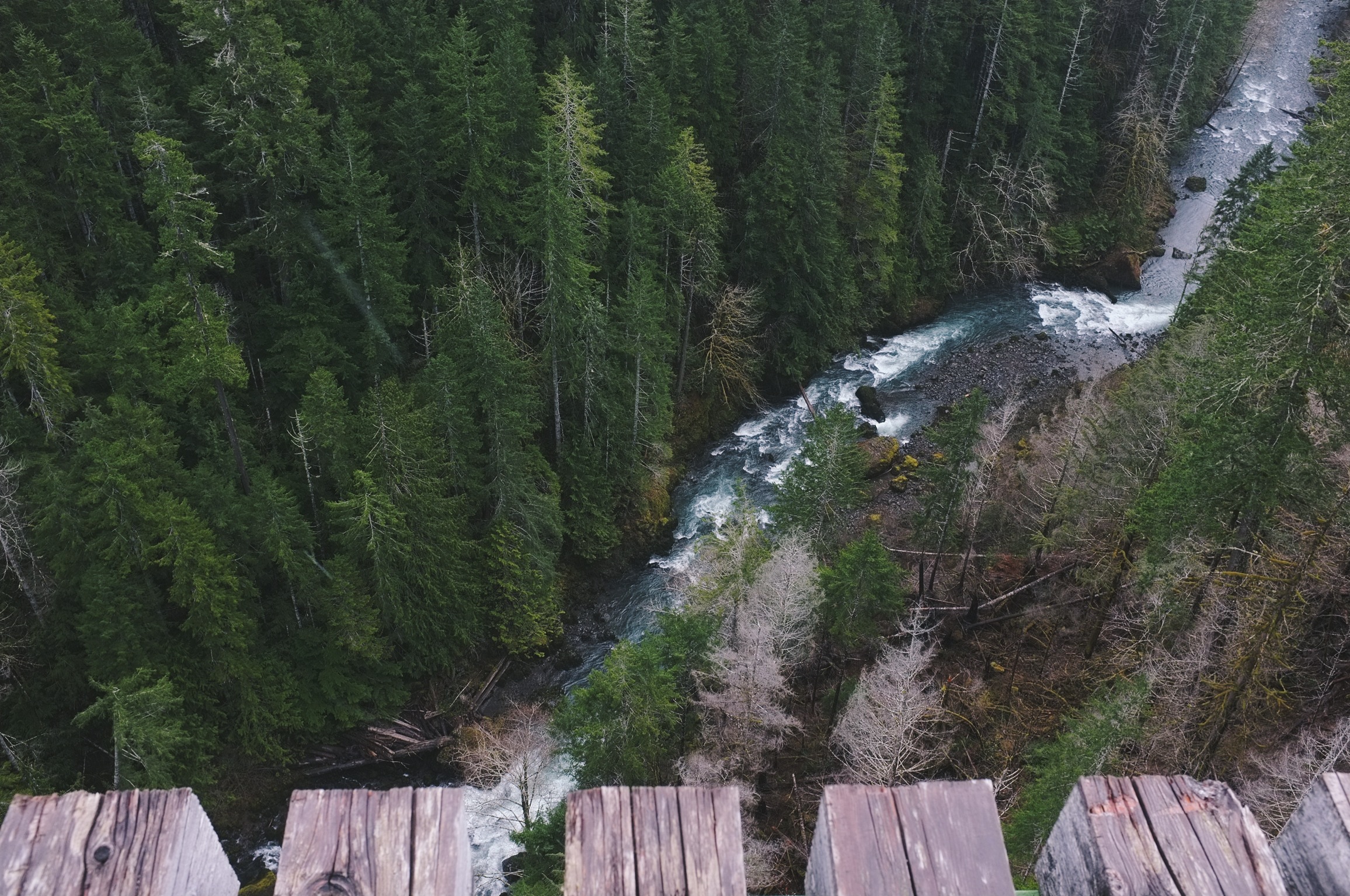 Hike the Vance Creek Viaduct Trail