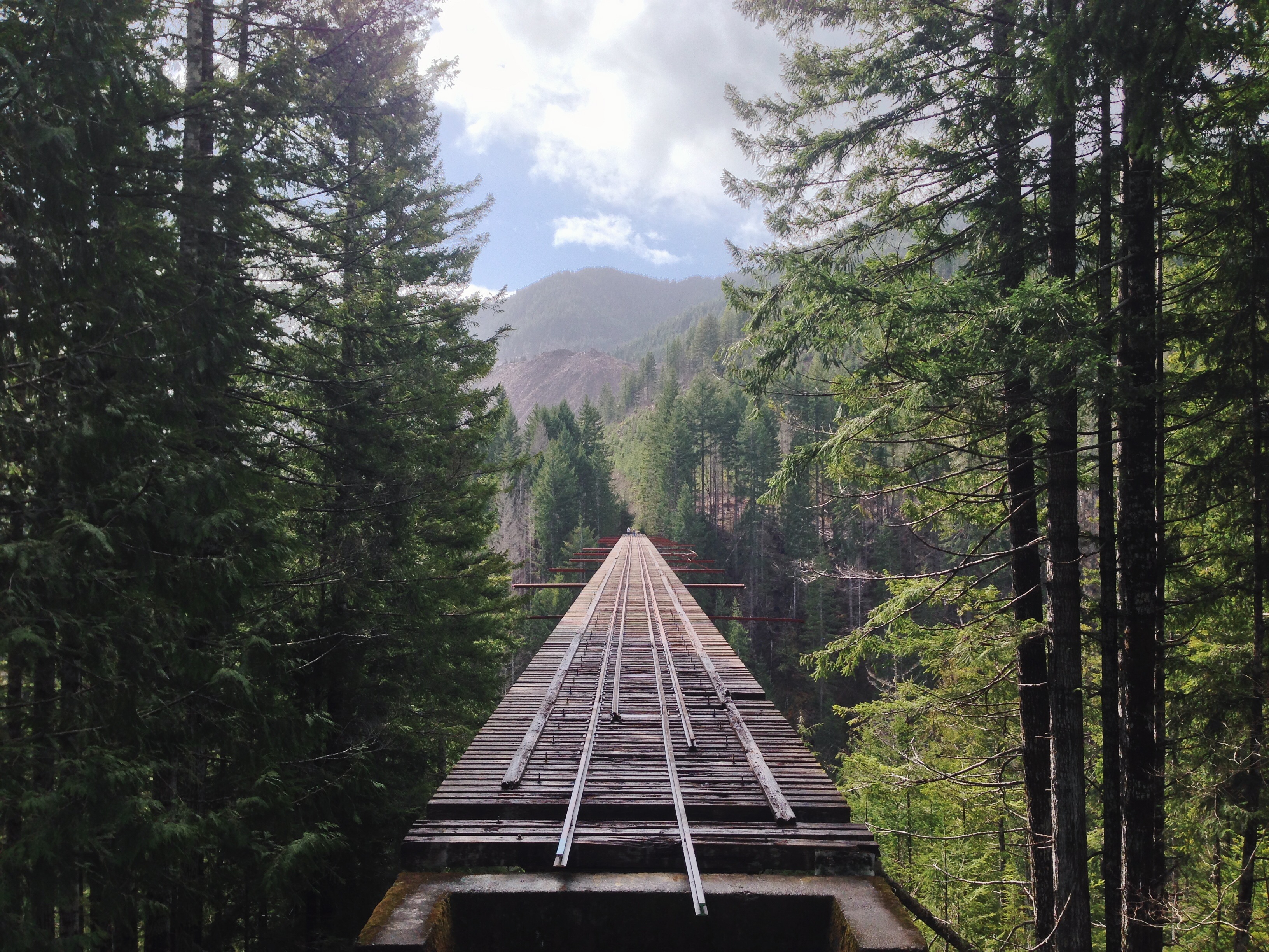 Hike the Vance Creek Viaduct Trail