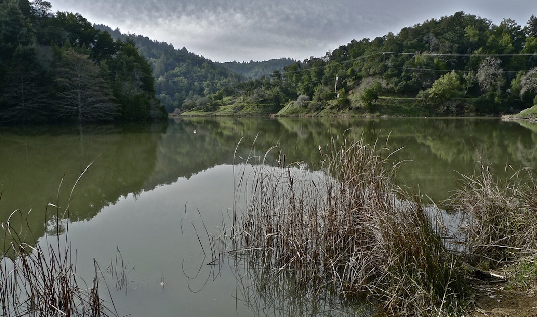 Hike around Phoenix Lake, Ross, California