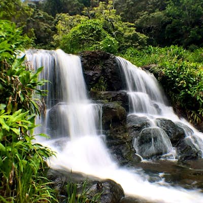 Hike to Waipo'o Falls