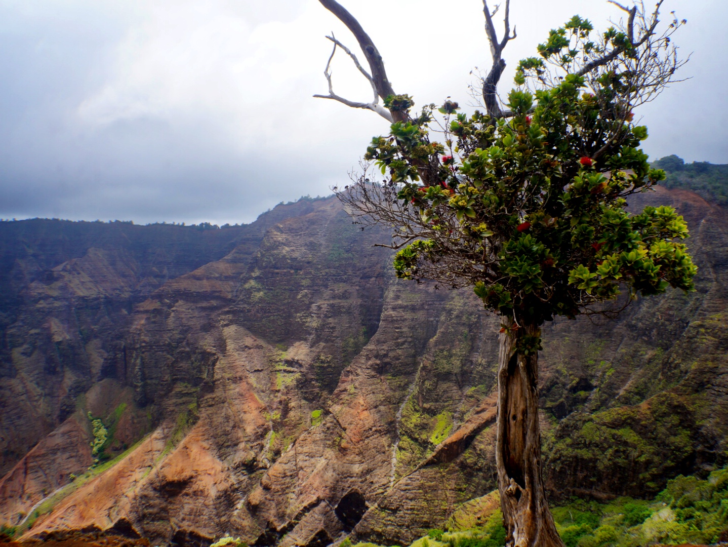 Waipo'o Falls